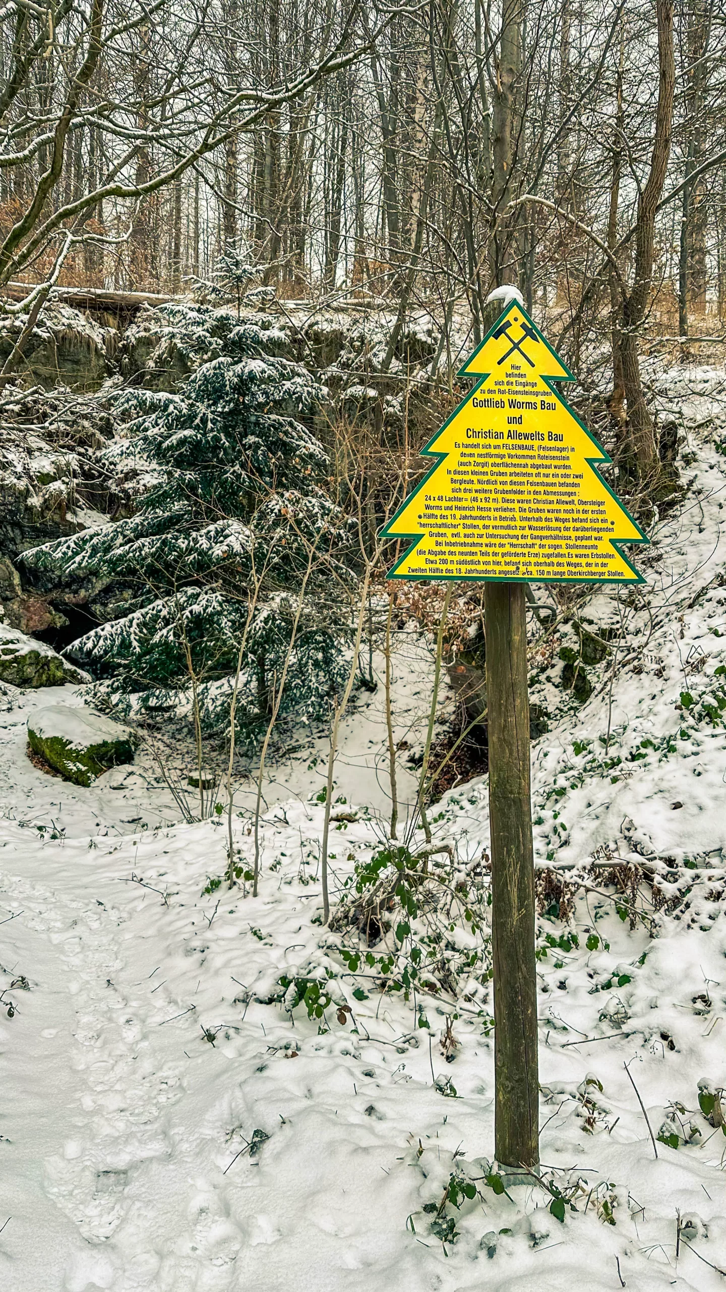 20250215.Harz.Zorge.und.Umgebung.Bild19