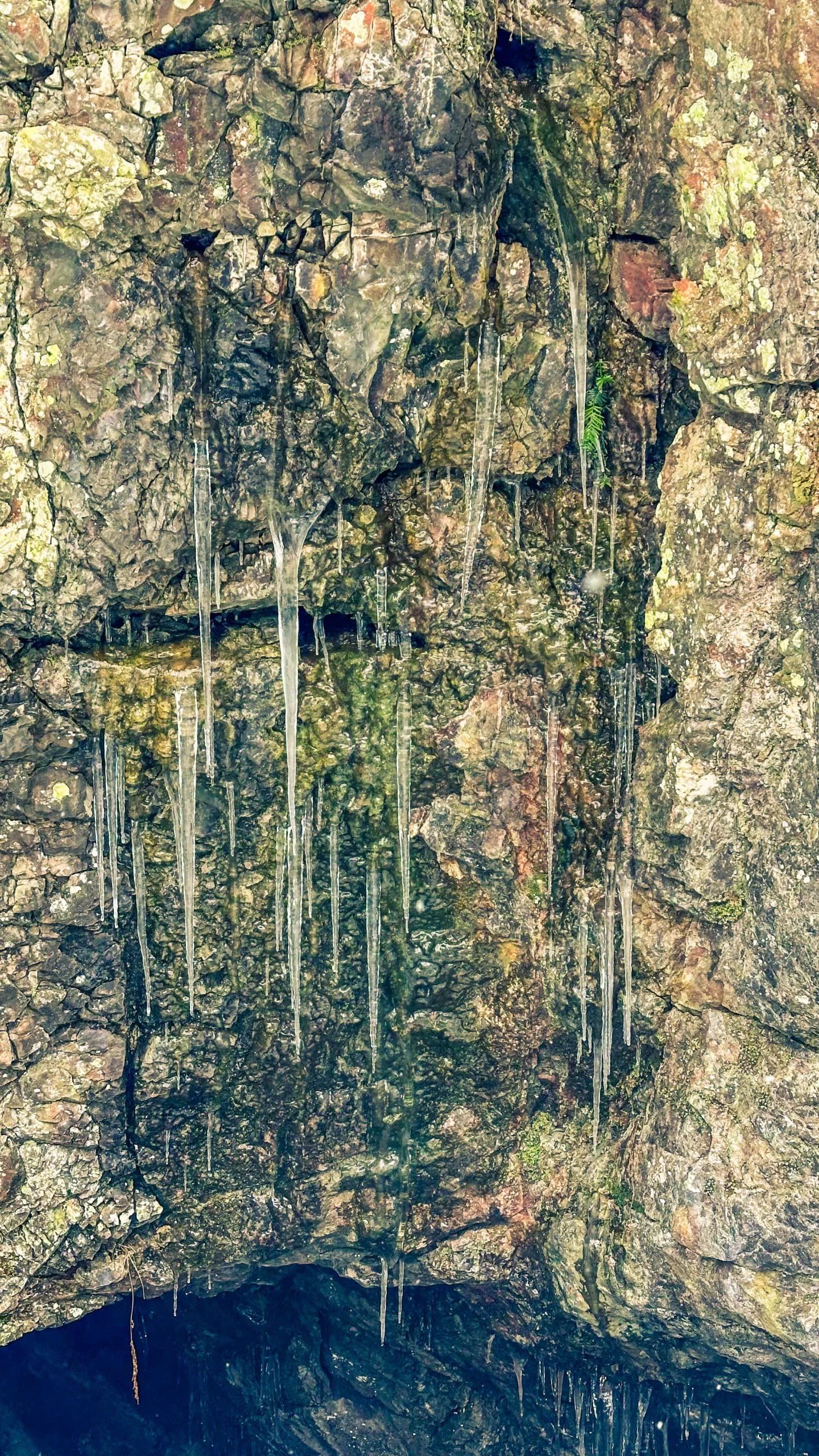 20250215.Harz.Zorge.und.Umgebung.Bild20