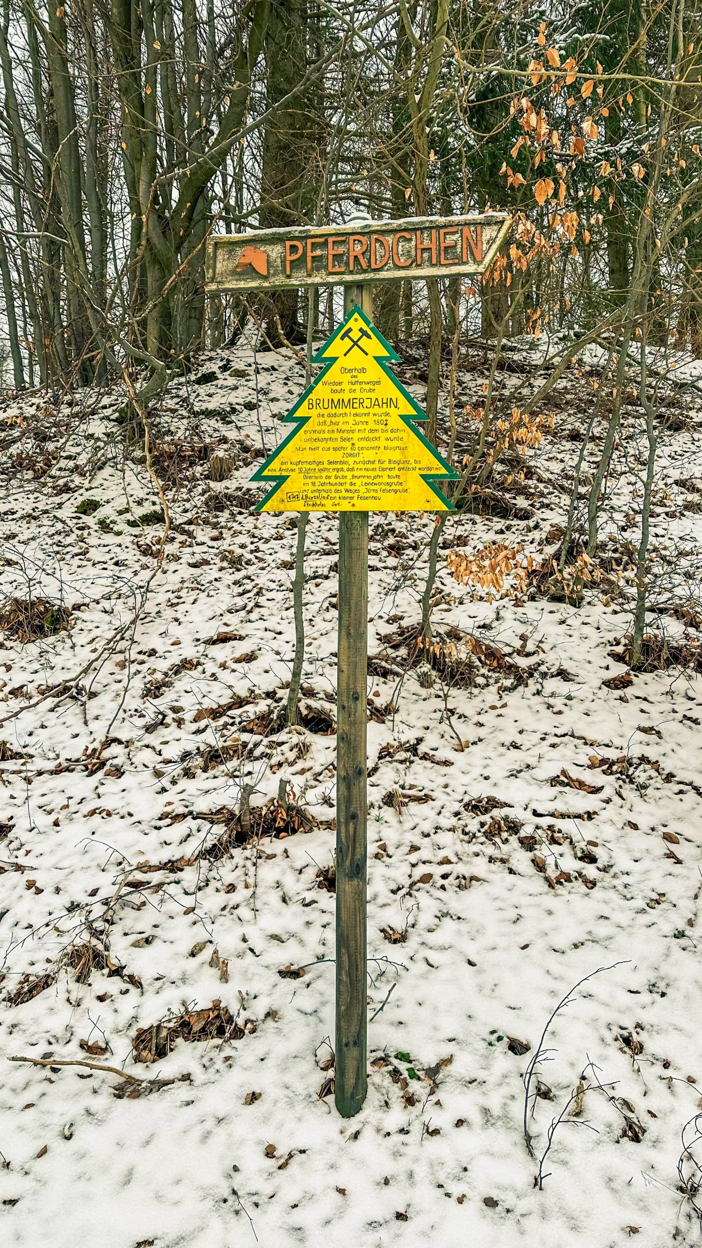 20250215.Harz.Zorge.und.Umgebung.Bild22