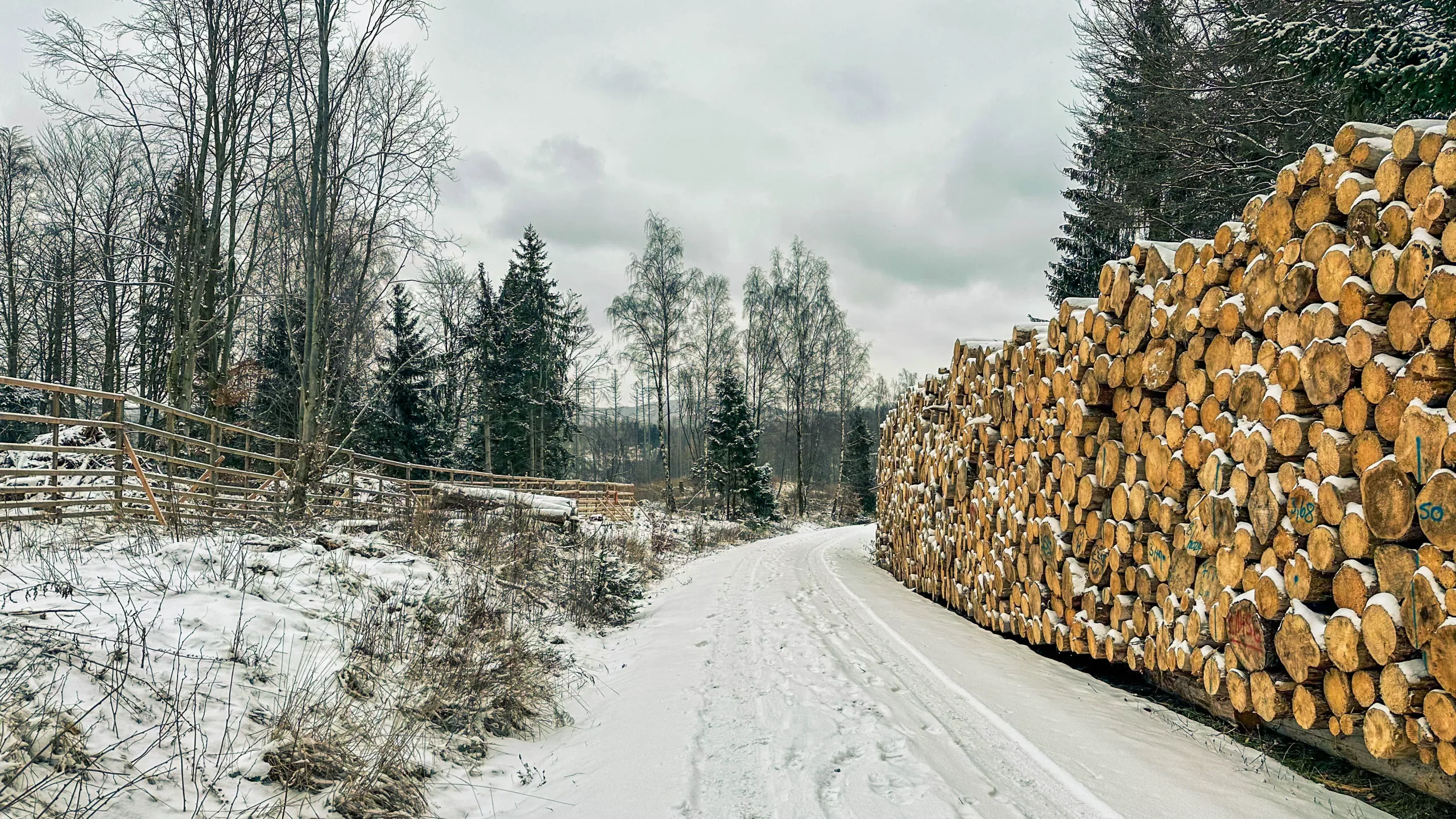 20250215.Harz.Zorge.und.Umgebung.Bild24