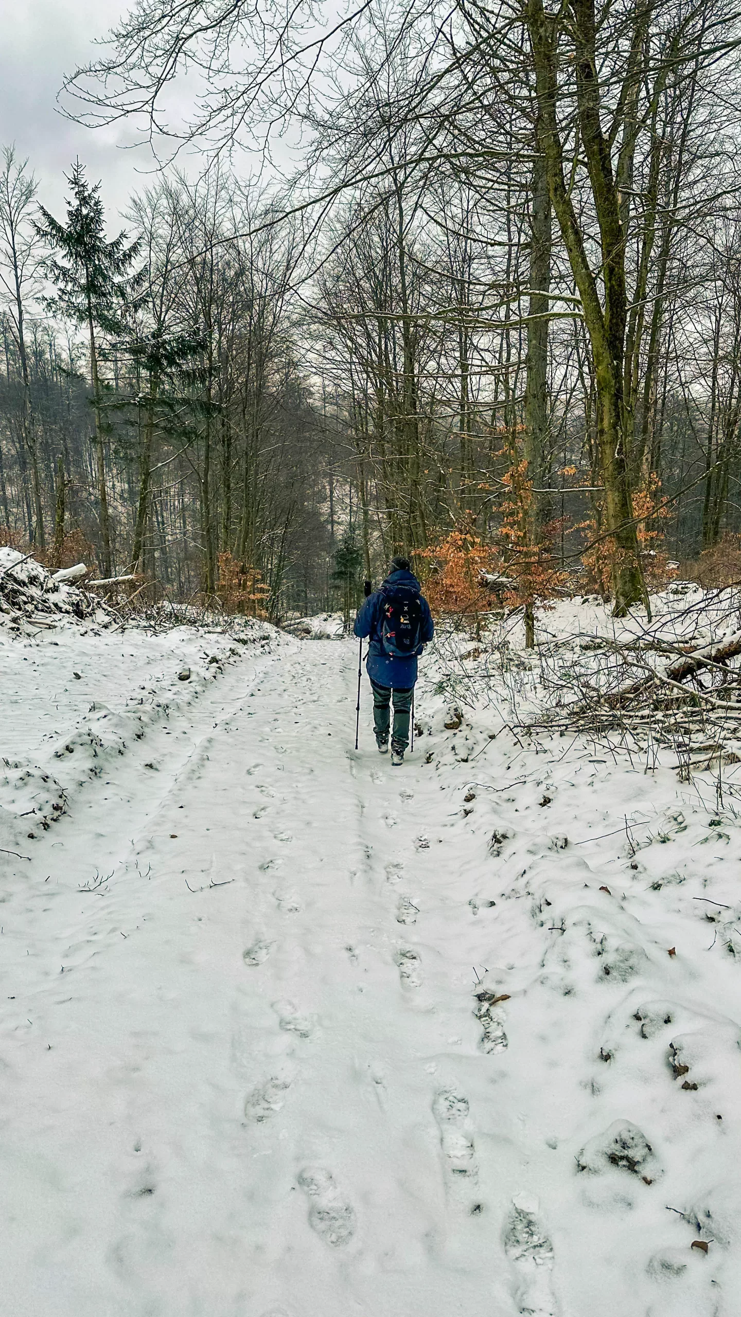 20250215.Harz.Zorge.und.Umgebung.Bild28