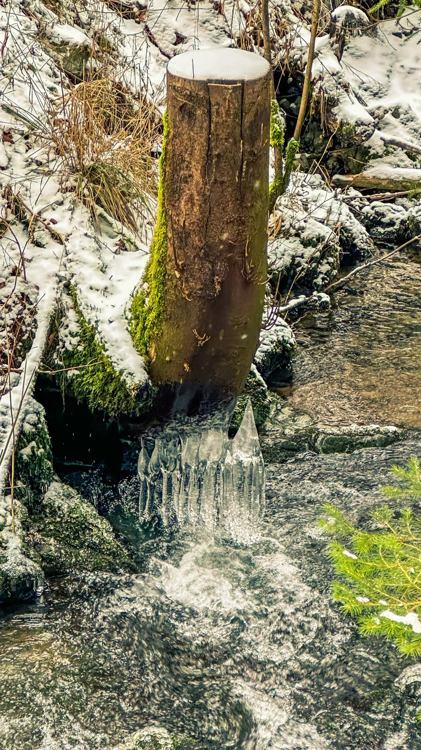 20250215.Harz.Zorge.und.Umgebung.Bild29