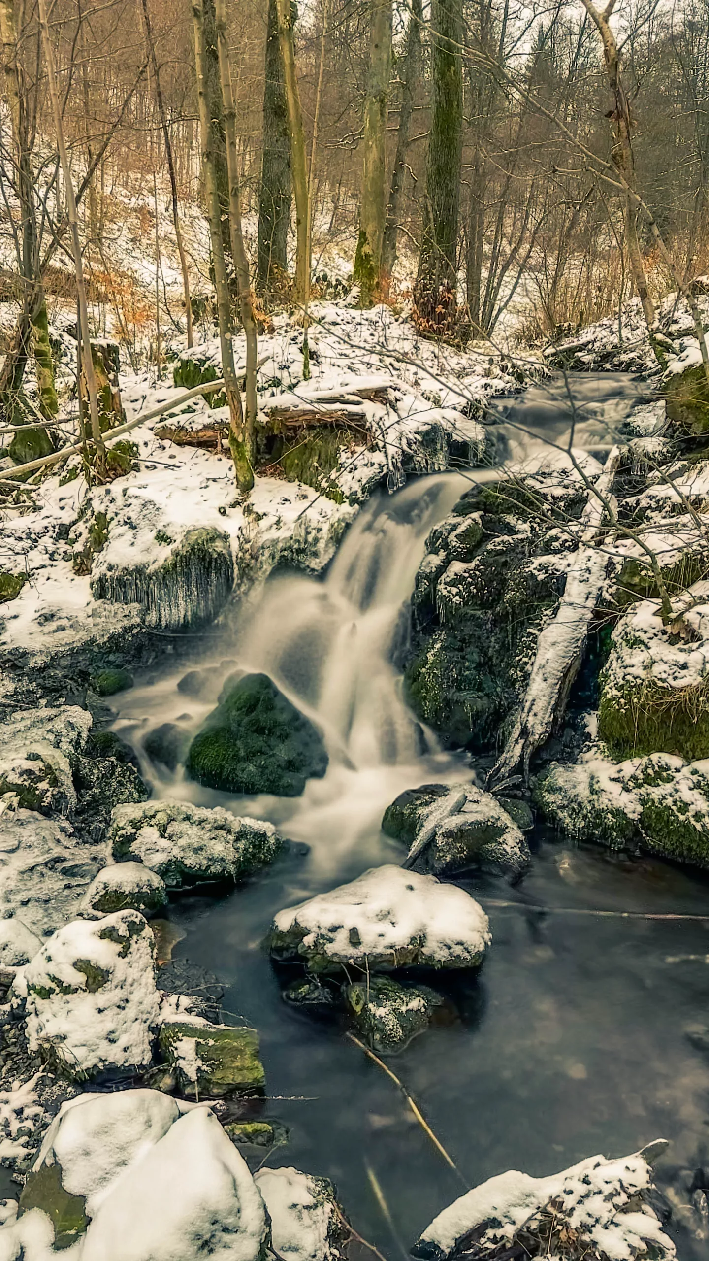 20250215.Harz.Zorge.und.Umgebung.Bild32