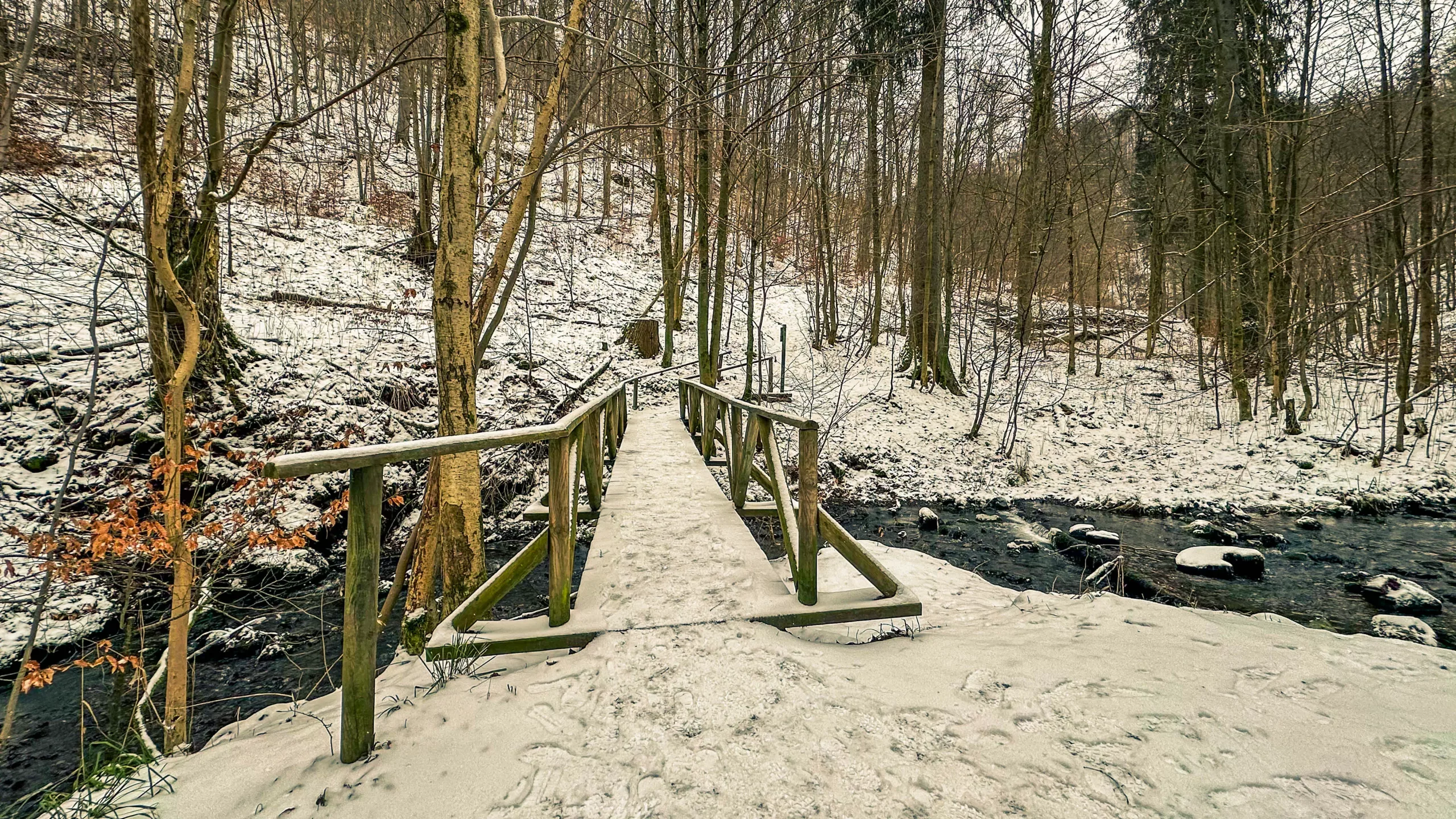 20250215.Harz.Zorge.und.Umgebung.Bild34