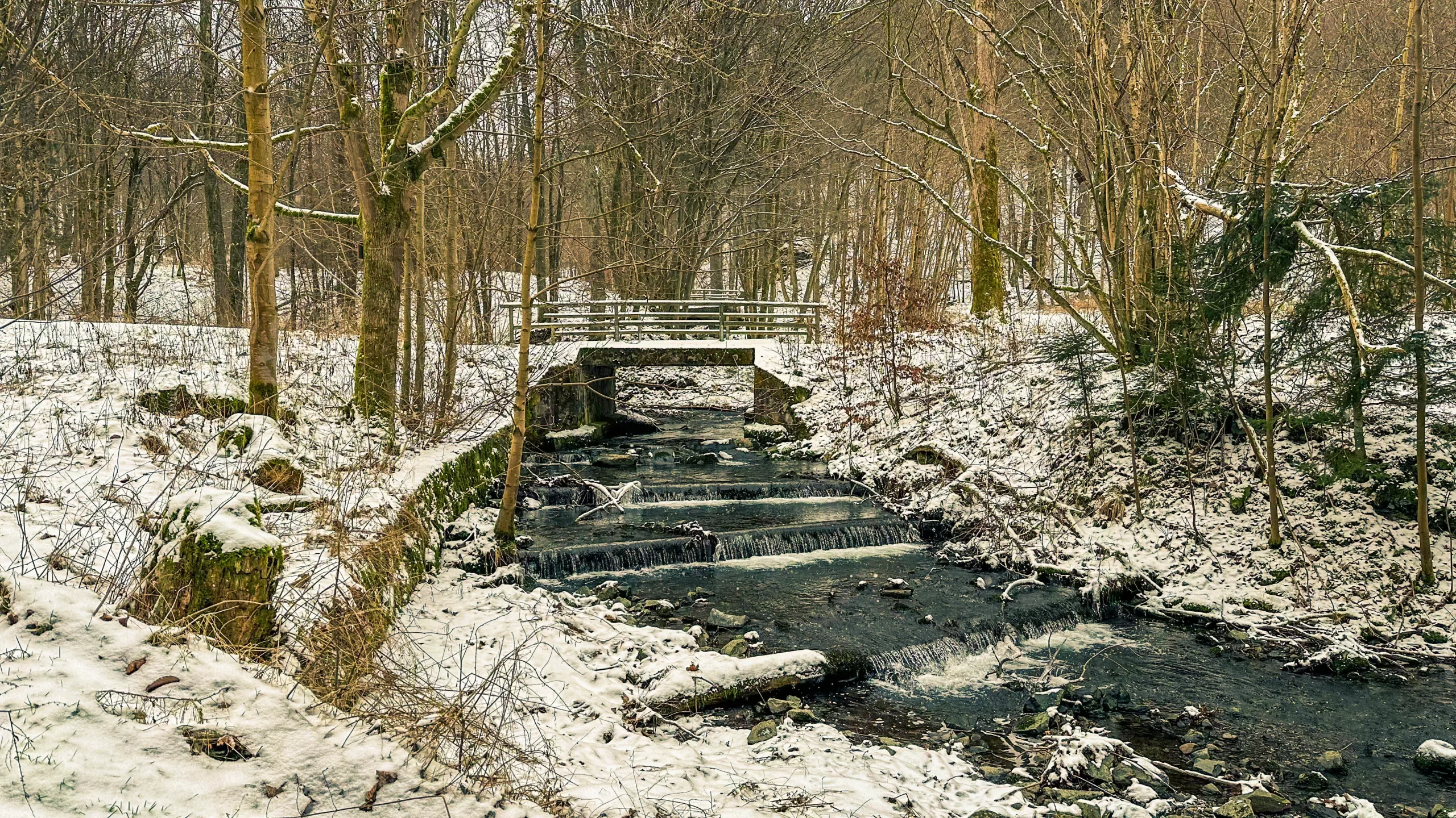 20250215.Harz.Zorge.und.Umgebung.Bild36