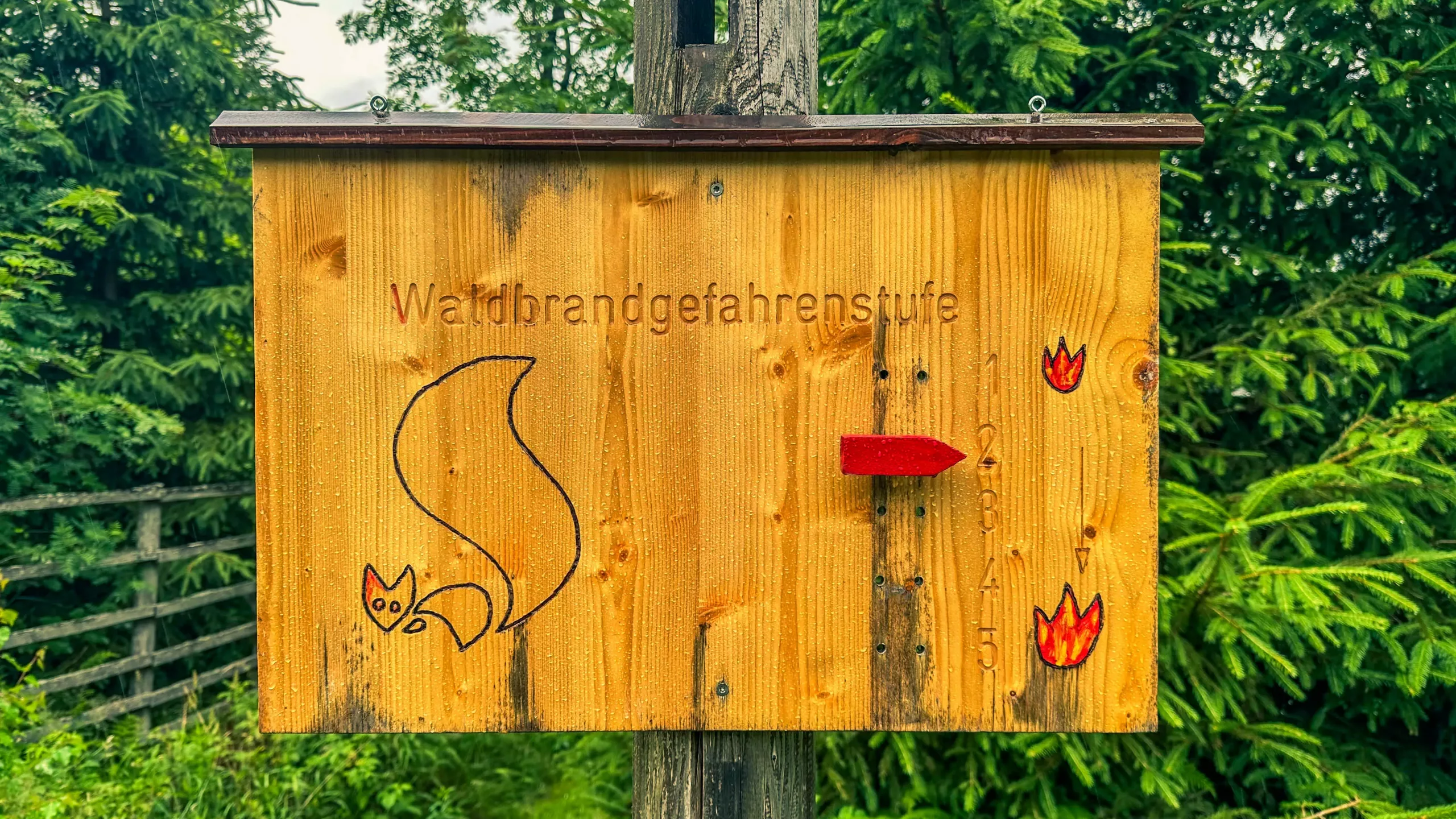 20250712.Harz.Braunlage.und.Umgebung.Bild.04