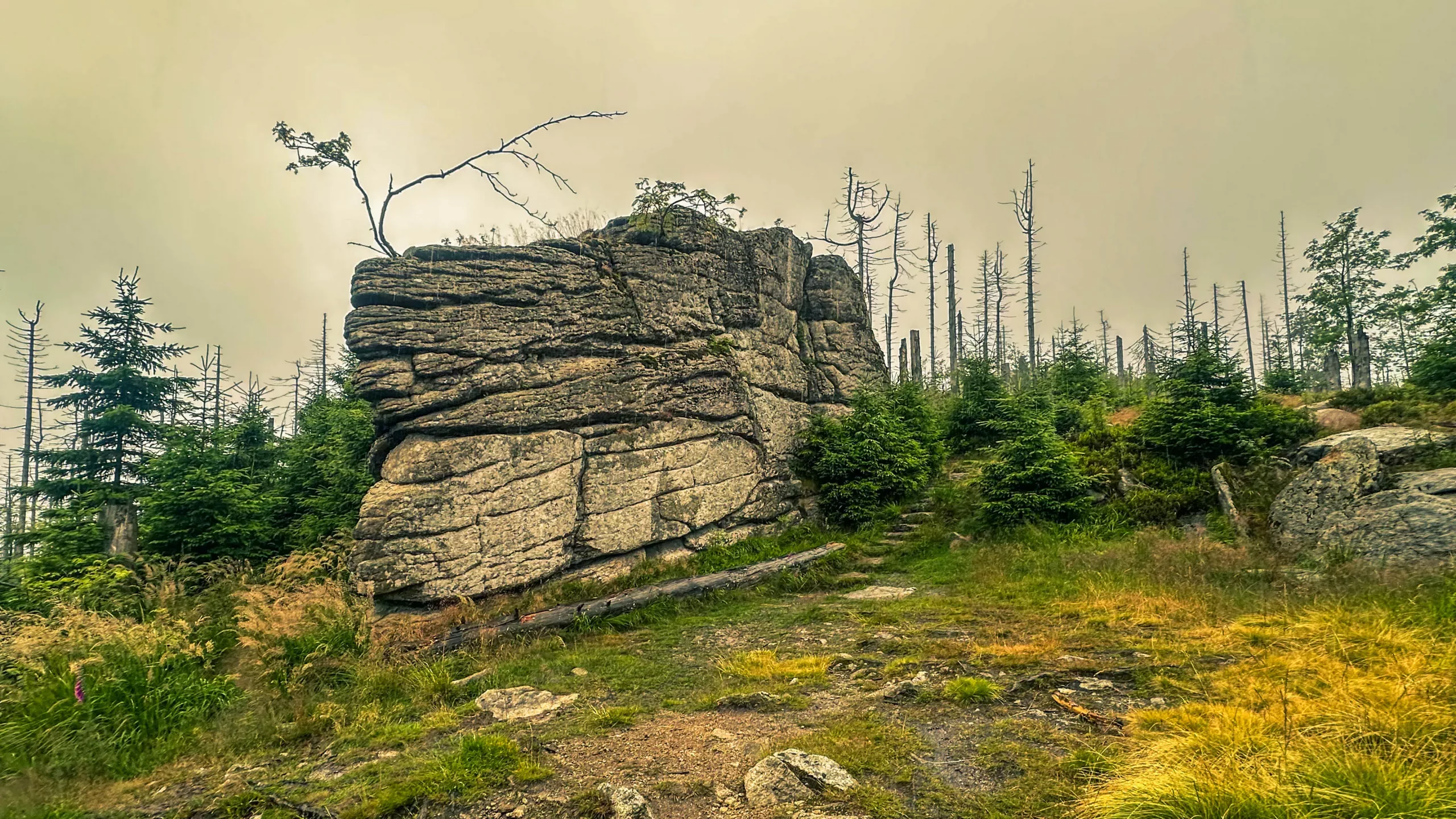20250712.Harz.Braunlage.und.Umgebung.Bild.13