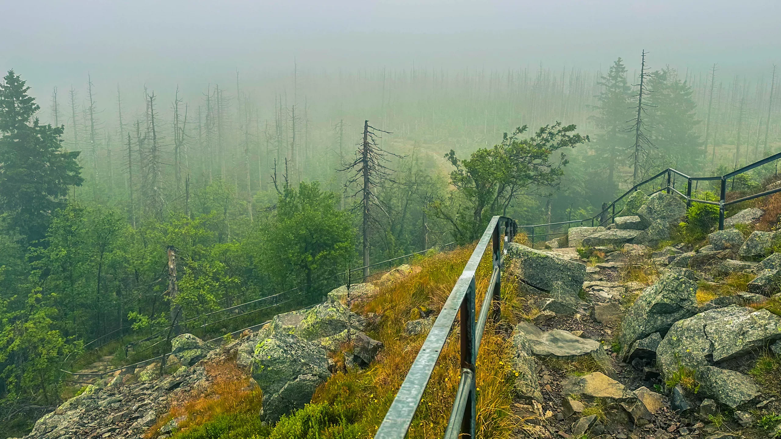 20250712.Harz.Braunlage.und.Umgebung.Bild.21