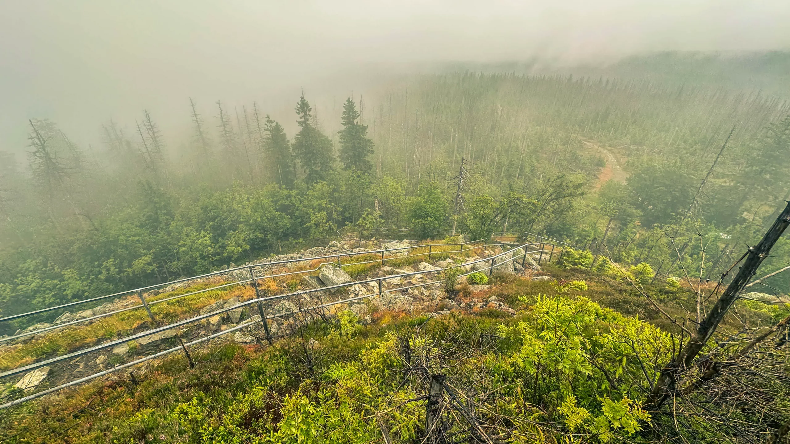 20250712.Harz.Braunlage.und.Umgebung.Bild.25