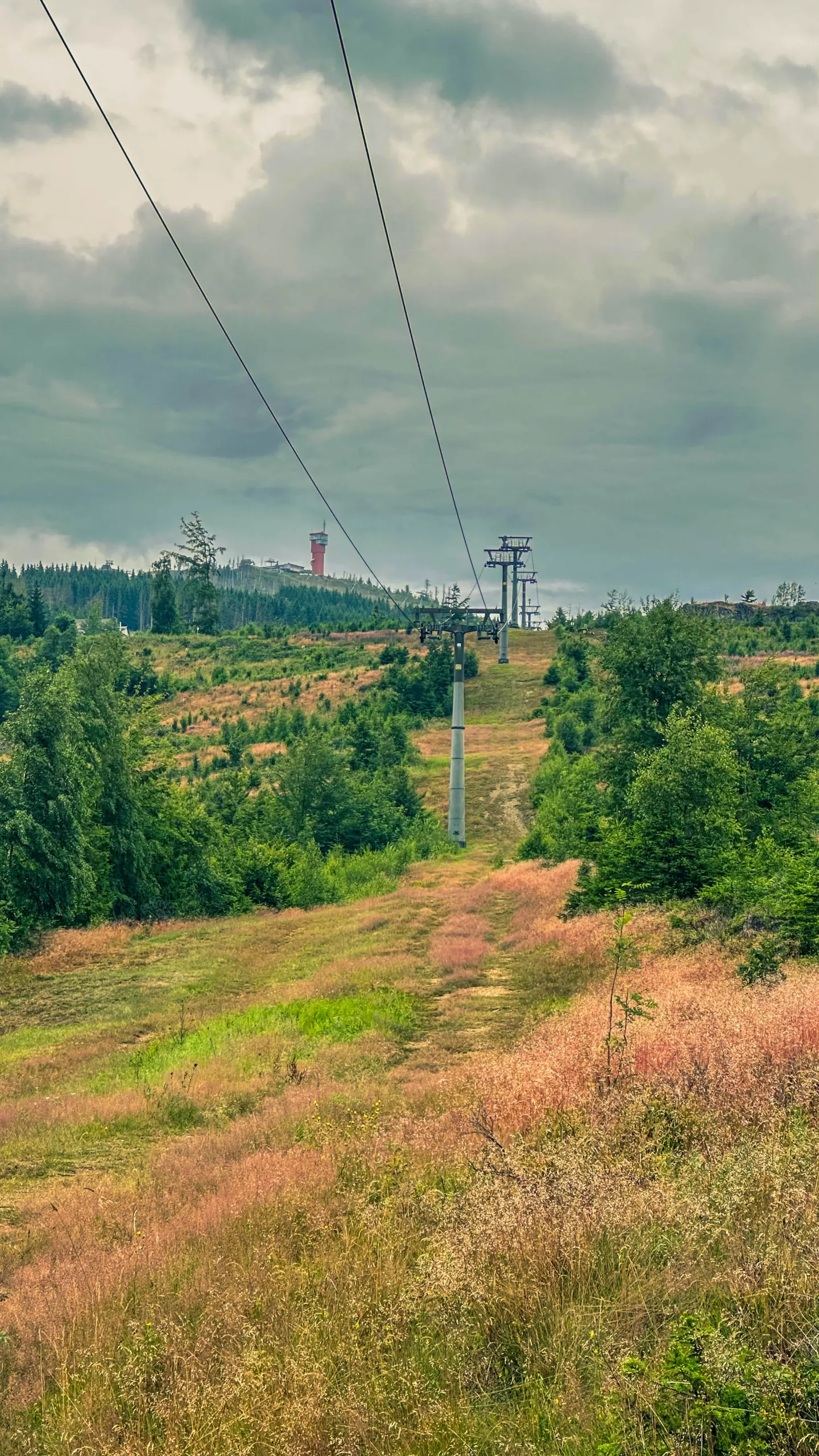 20250712.Harz.Braunlage.und.Umgebung.Bild.36
