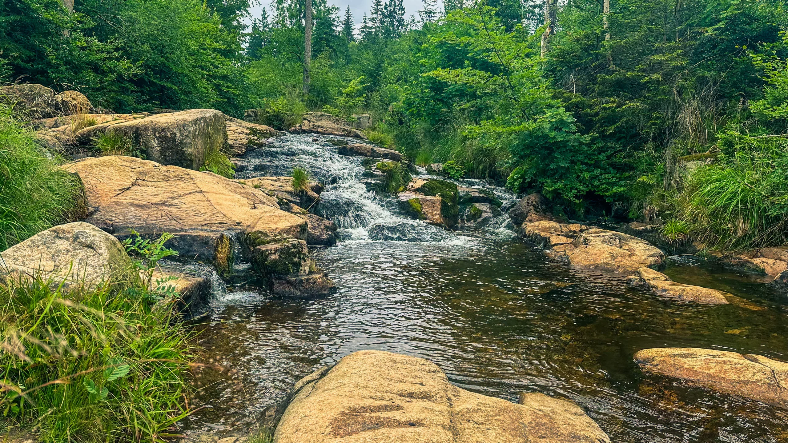 20250712.Harz.Braunlage.und.Umgebung.Bild.43