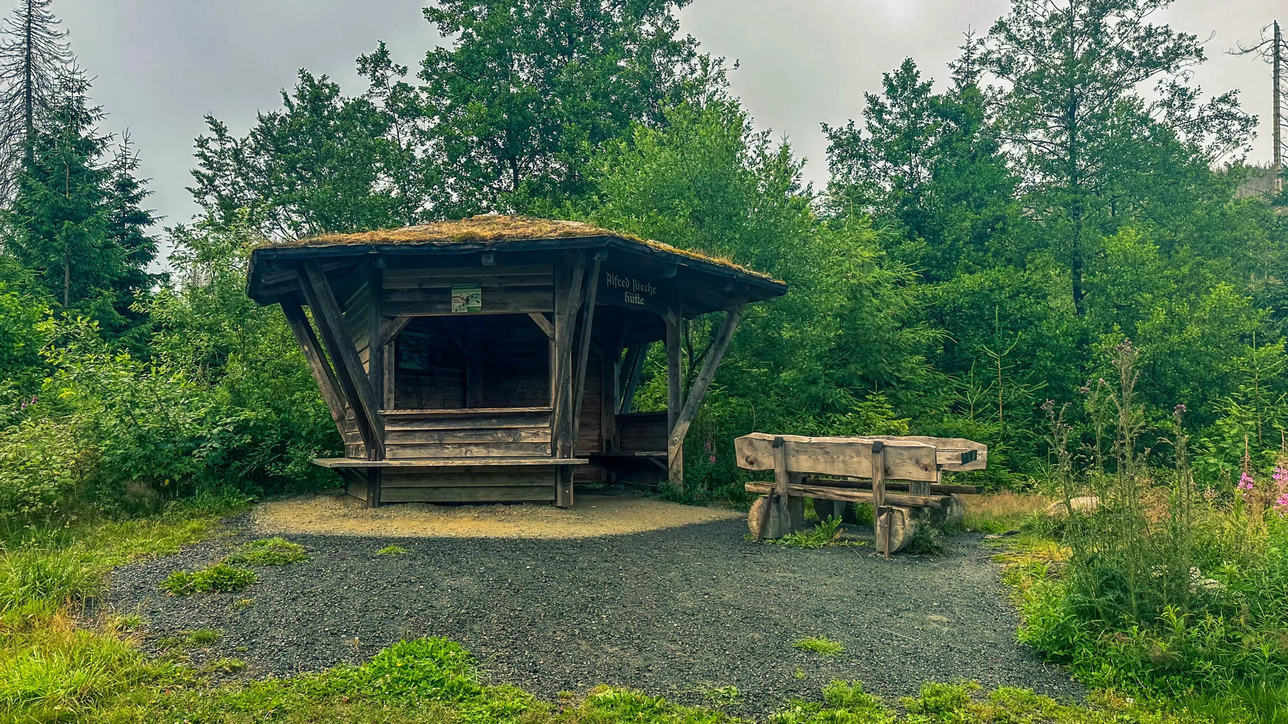 20250712.Harz.Braunlage.und.Umgebung.Bild.53