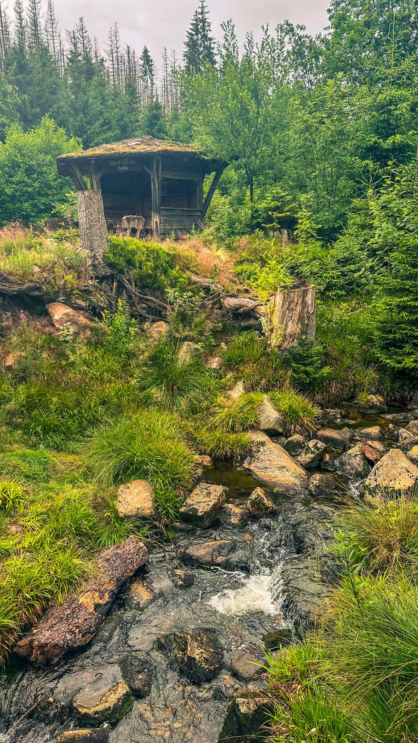 20250712.Harz.Braunlage.und.Umgebung.Bild.54