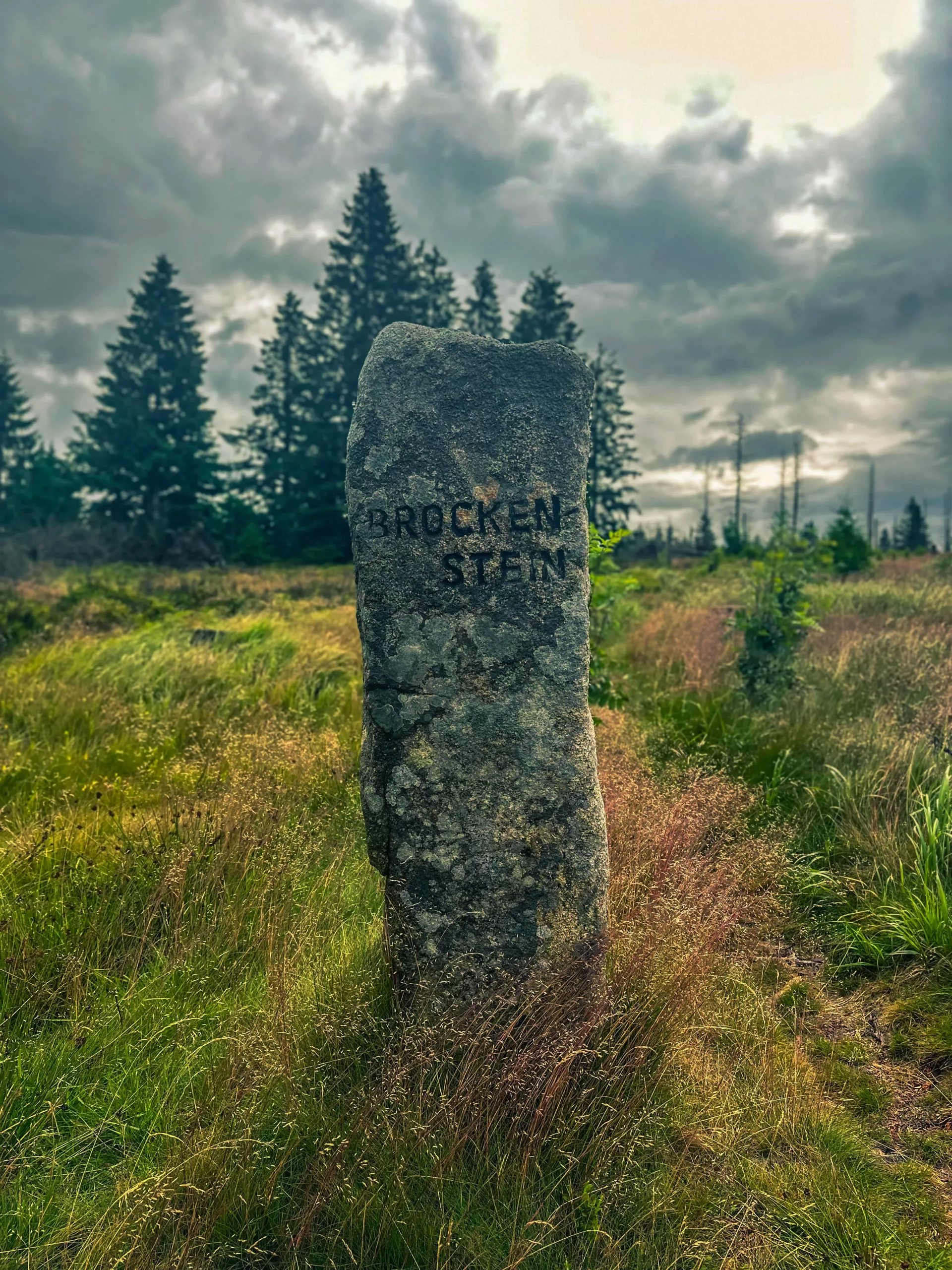 20250712.Harz.Braunlage.und.Umgebung.Bild.59