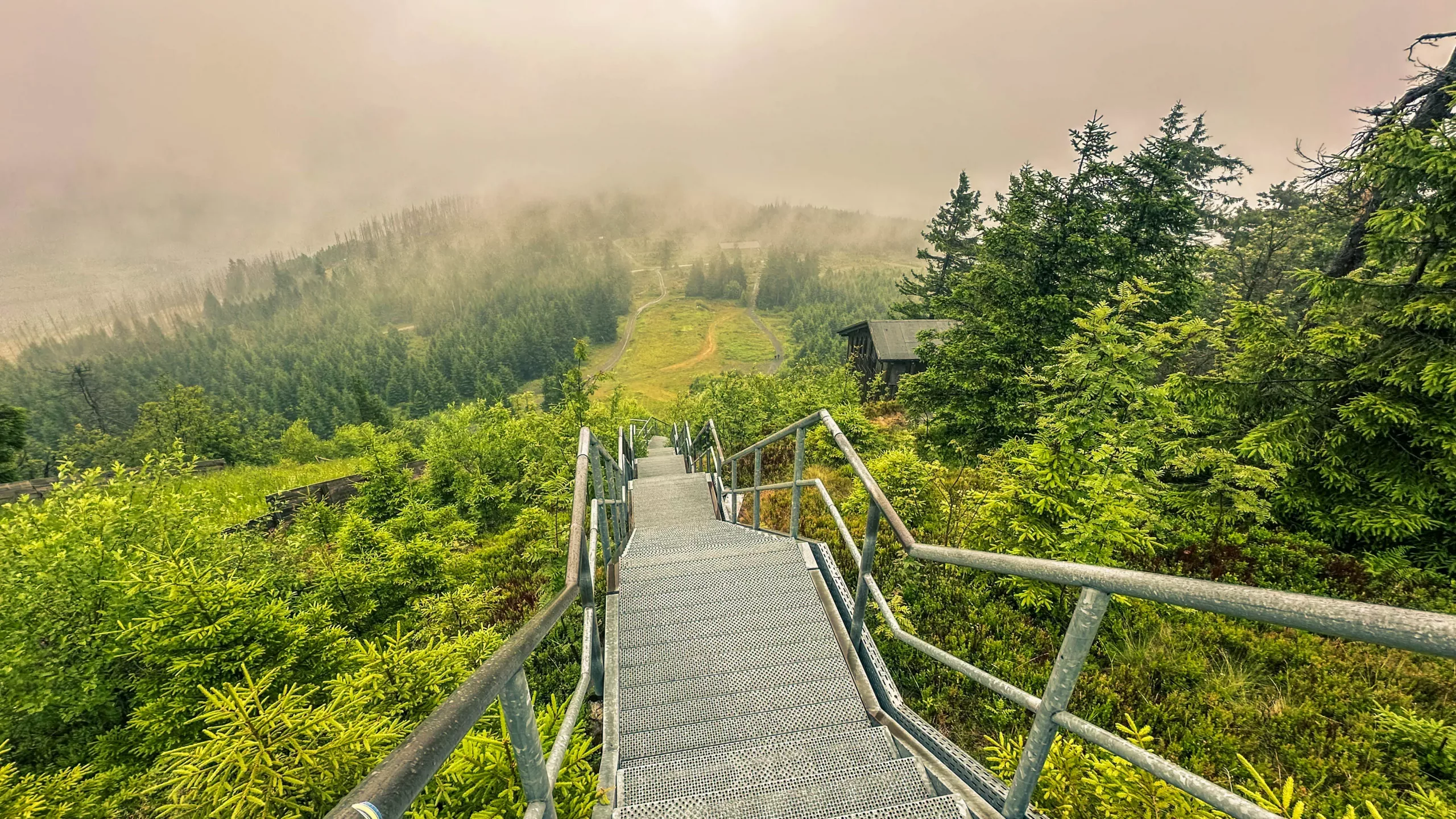 20250712.Harz.Braunlage.und.Umgebung.Bild.70