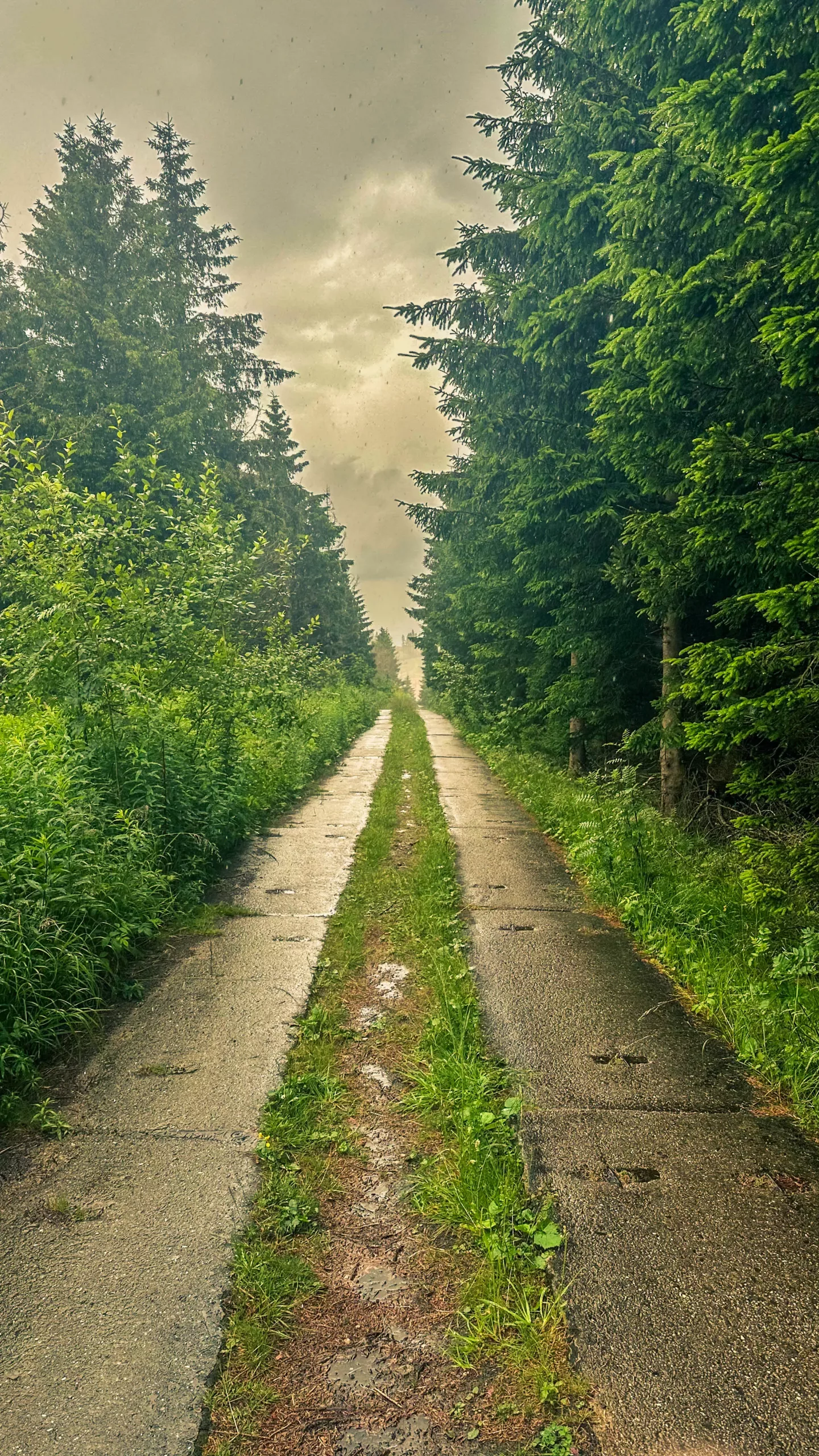 20250712.Harz.Braunlage.und.Umgebung.Bild.73