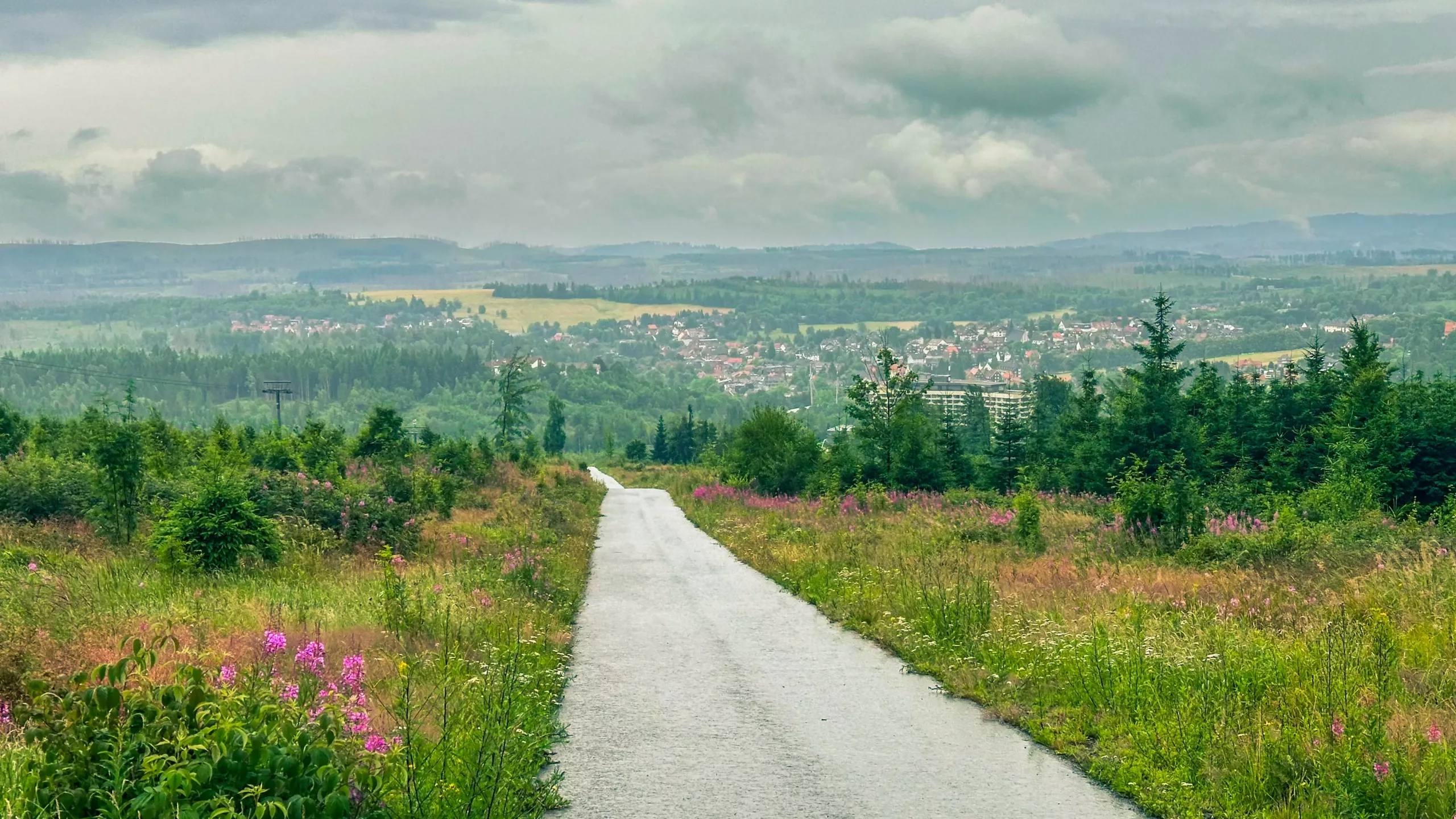 20250712.Harz.Braunlage.und.Umgebung.Bild.85