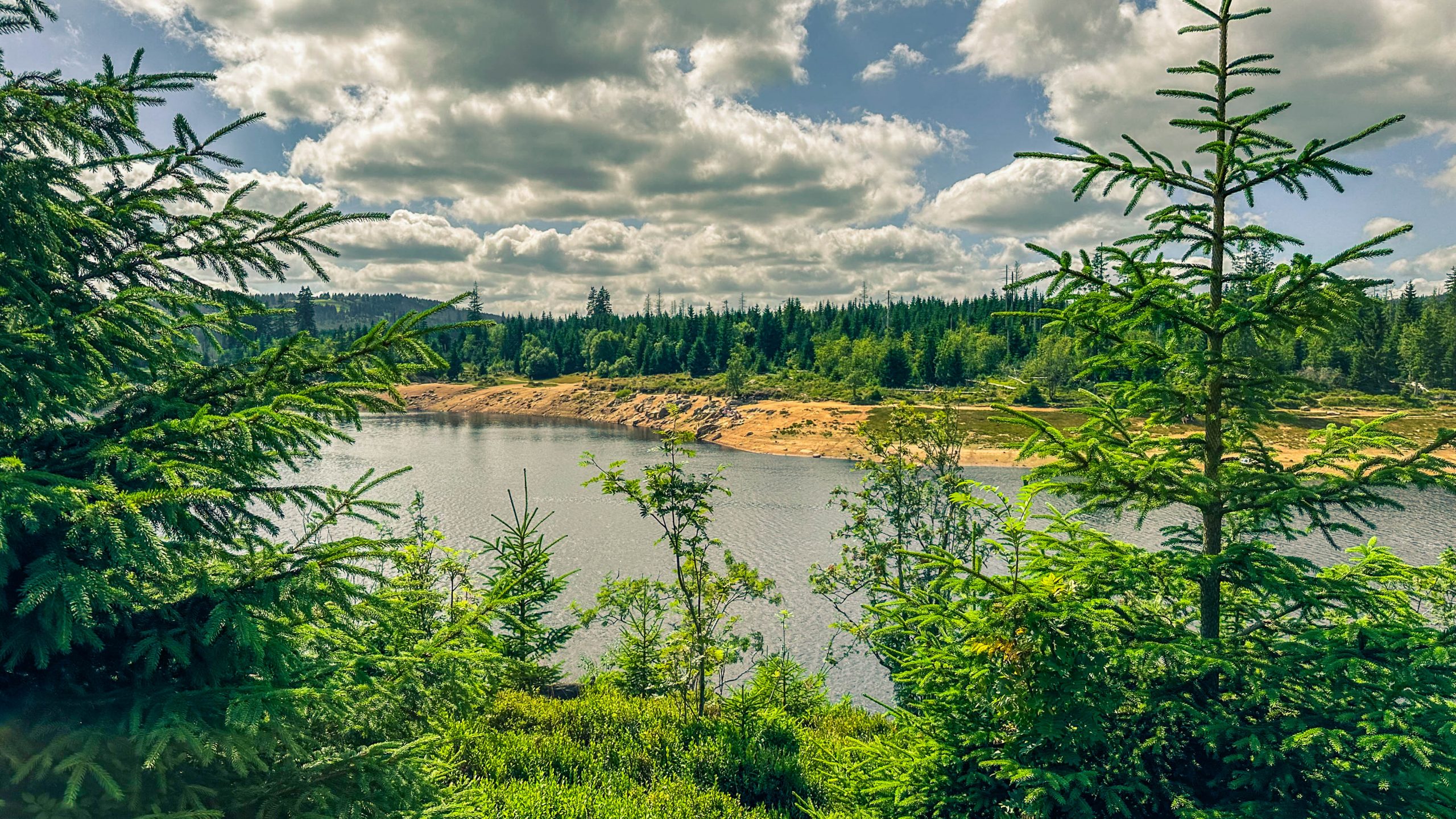 202507126.Harz.Oderteich.und.Umgebung.Bild.48