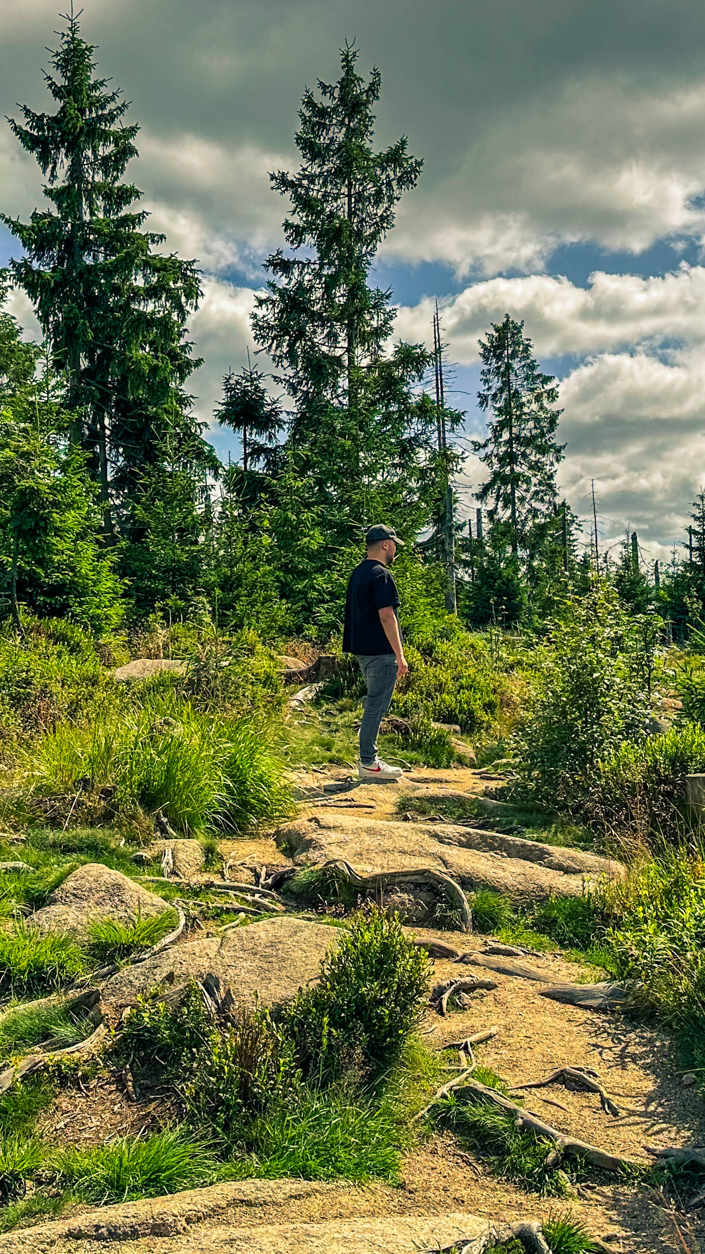 202507126.Harz.Oderteich.und.Umgebung.Bild.49