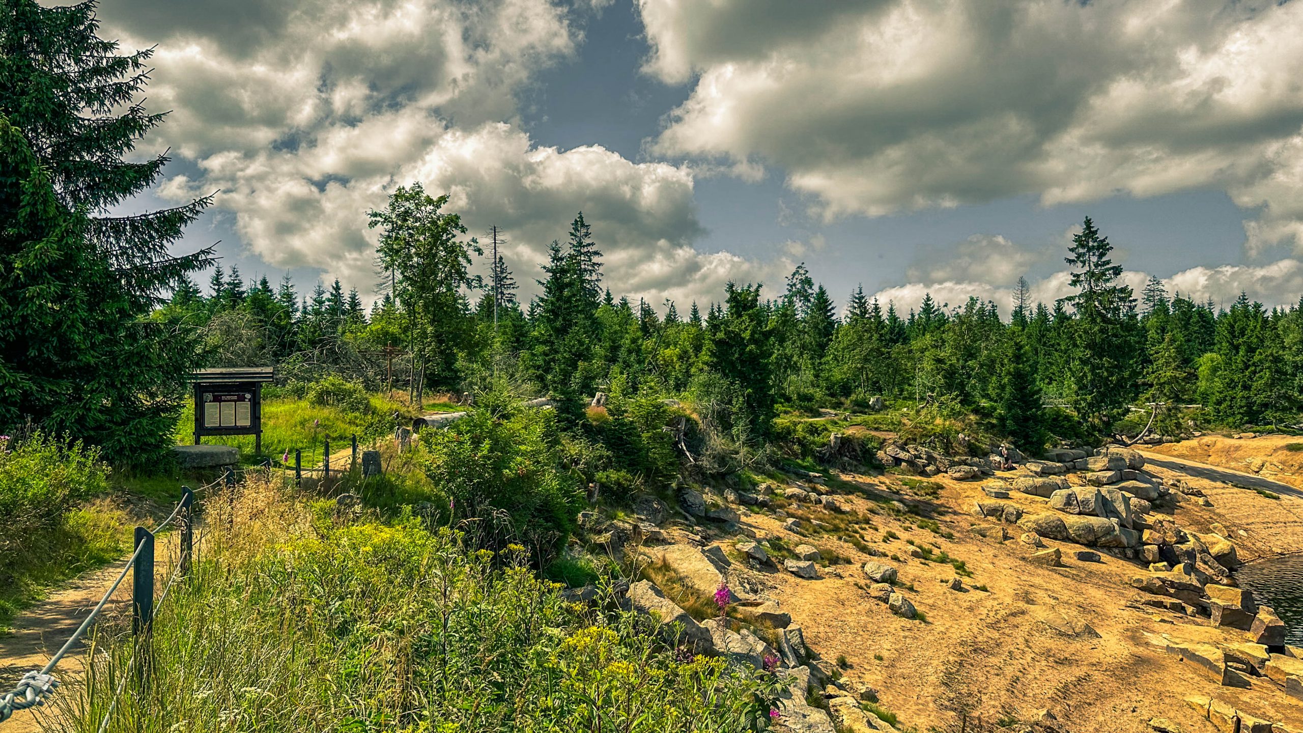 202507126.Harz.Oderteich.und.Umgebung.Bild.61
