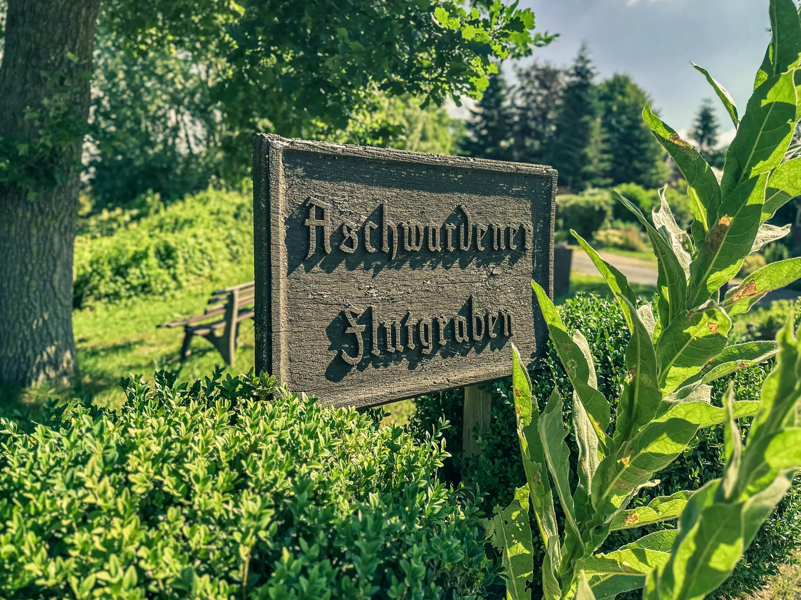 20250714.Zwischen.Windmühle.und.Deich.Bild.10