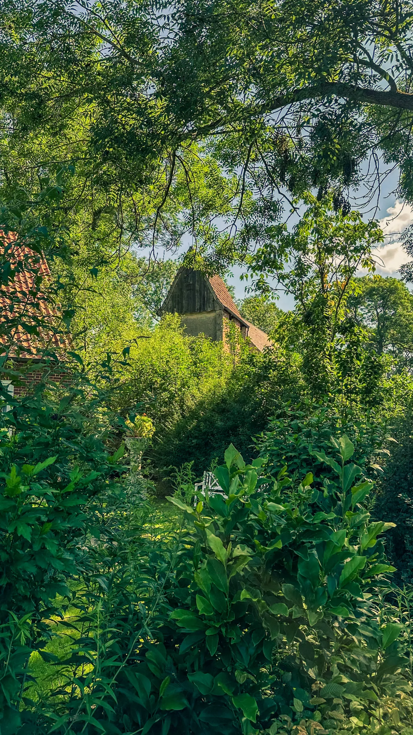 20250714.Zwischen.Windmühle.und.Deich.Bild.12