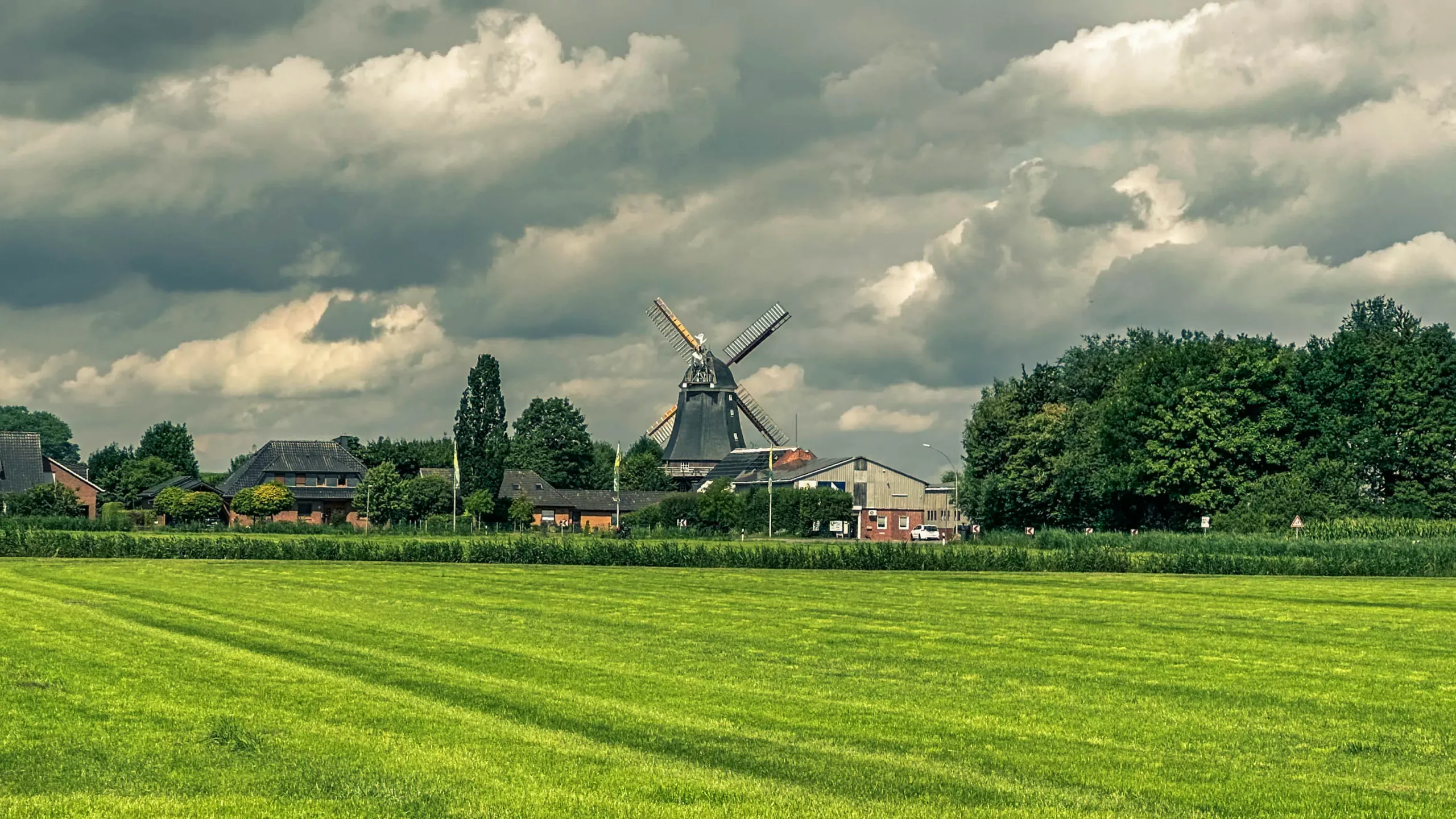 20250714.Zwischen.Windmühle.und.Deich.Bild.28