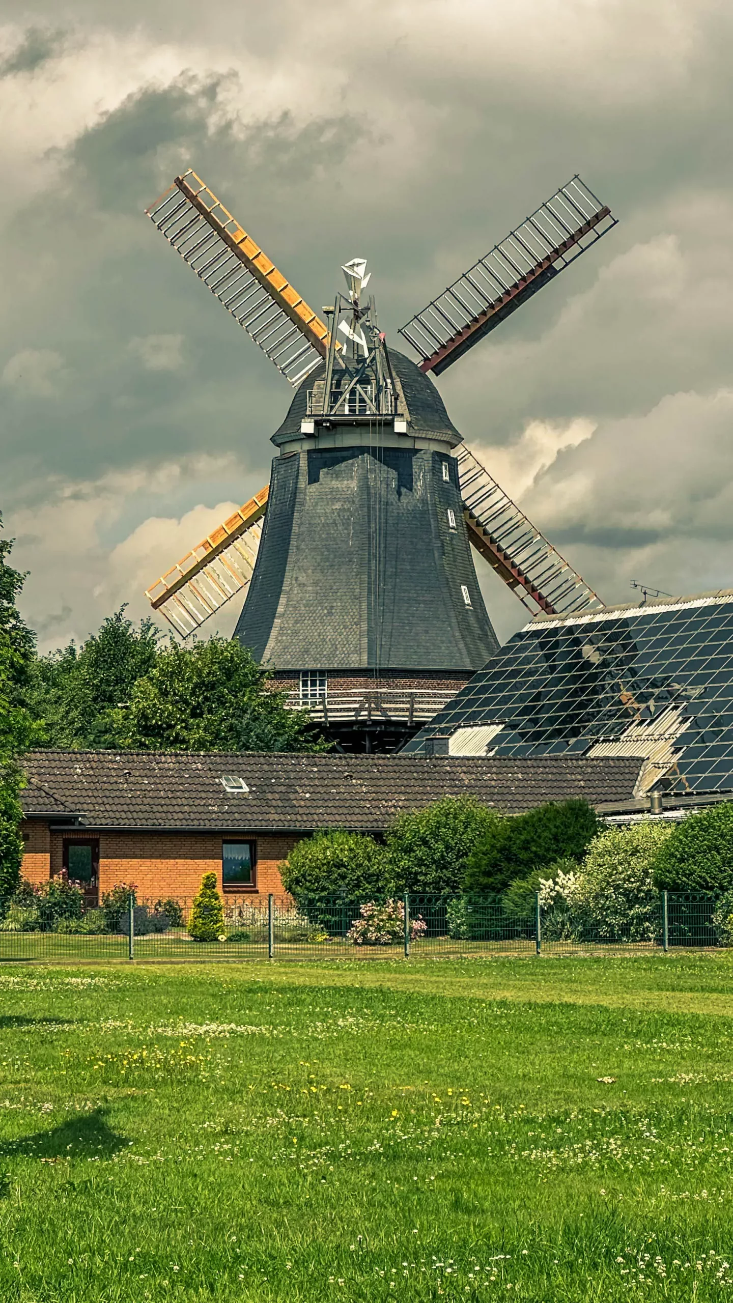 20250714.Zwischen.Windmühle.und.Deich.Bild.29