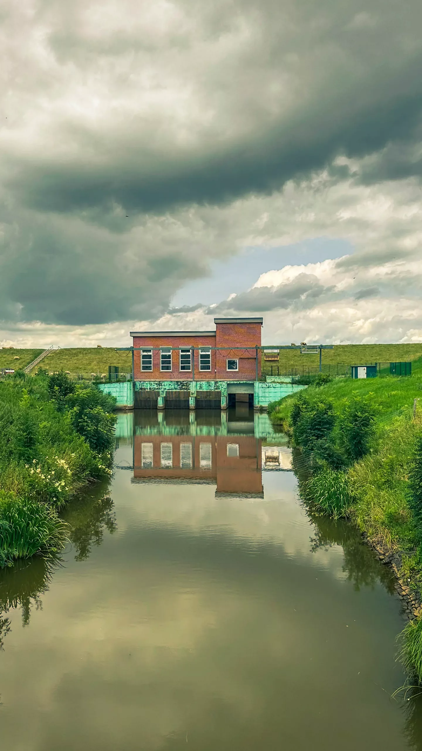 20250714.Zwischen.Windmühle.und.Deich.Bild.33
