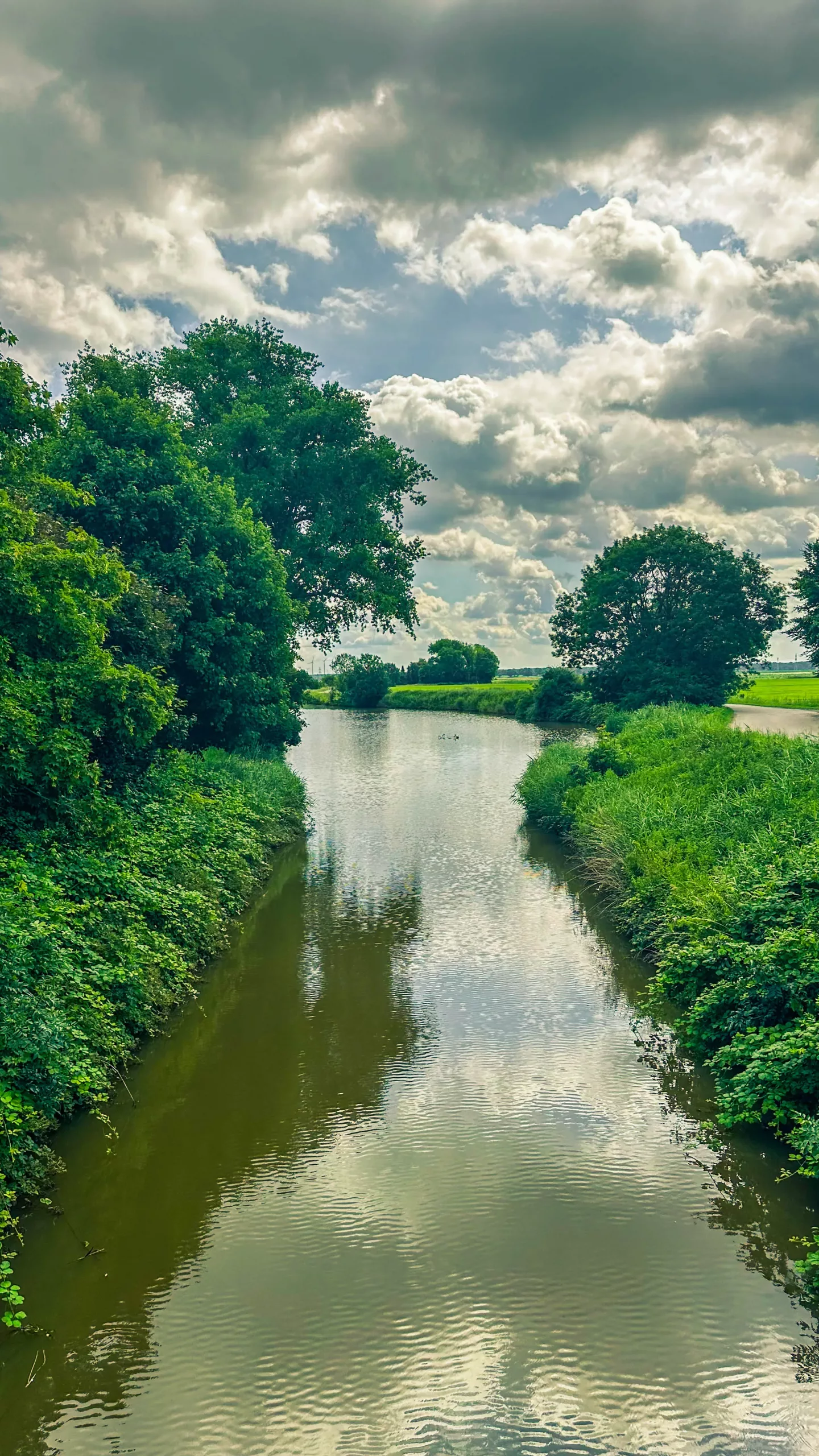 20250714.Zwischen.Windmühle.und.Deich.Bild.34