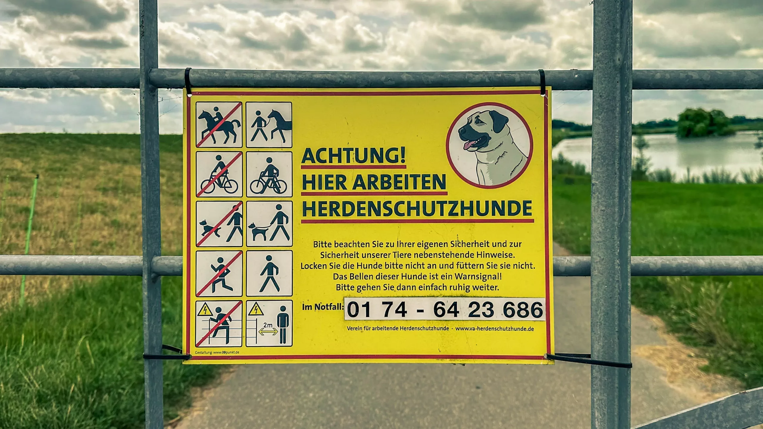 20250714.Zwischen.Windmühle.und.Deich.Bild.37