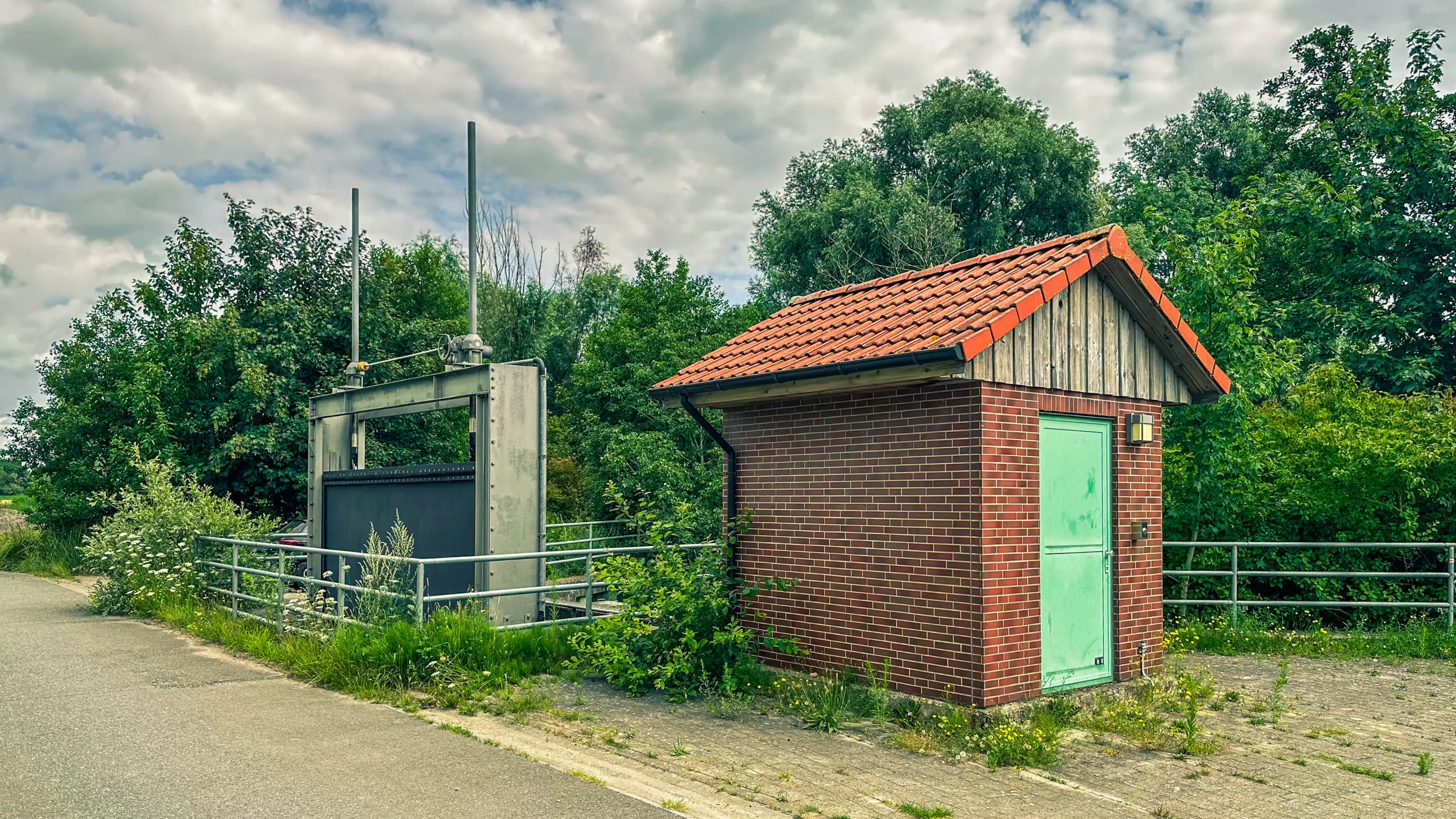 20250714.Zwischen.Windmühle.und.Deich.Bild.51