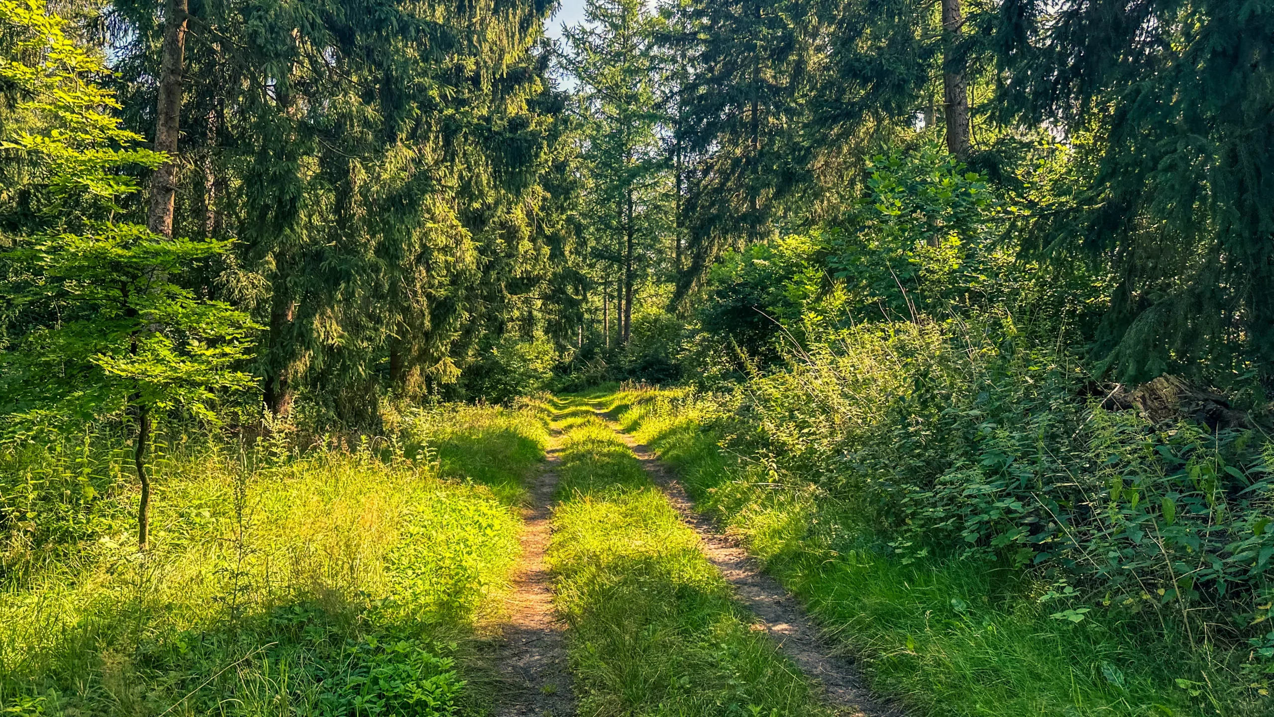 20250812.Entdecker-Tour.Brundorf.Bild.19