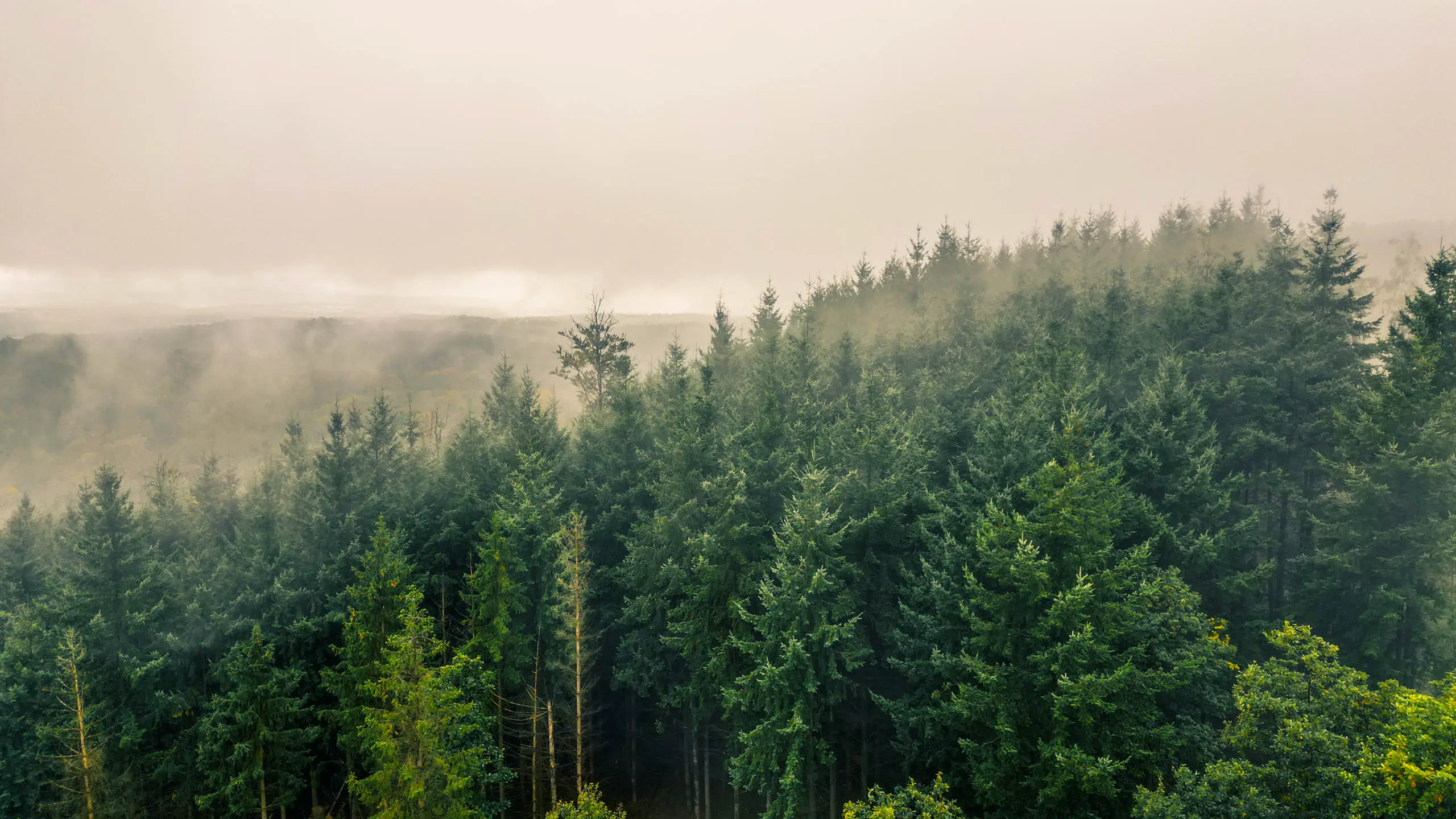 20251004.Harz.Bad.Sachsa.und.Umgebung.Bild05