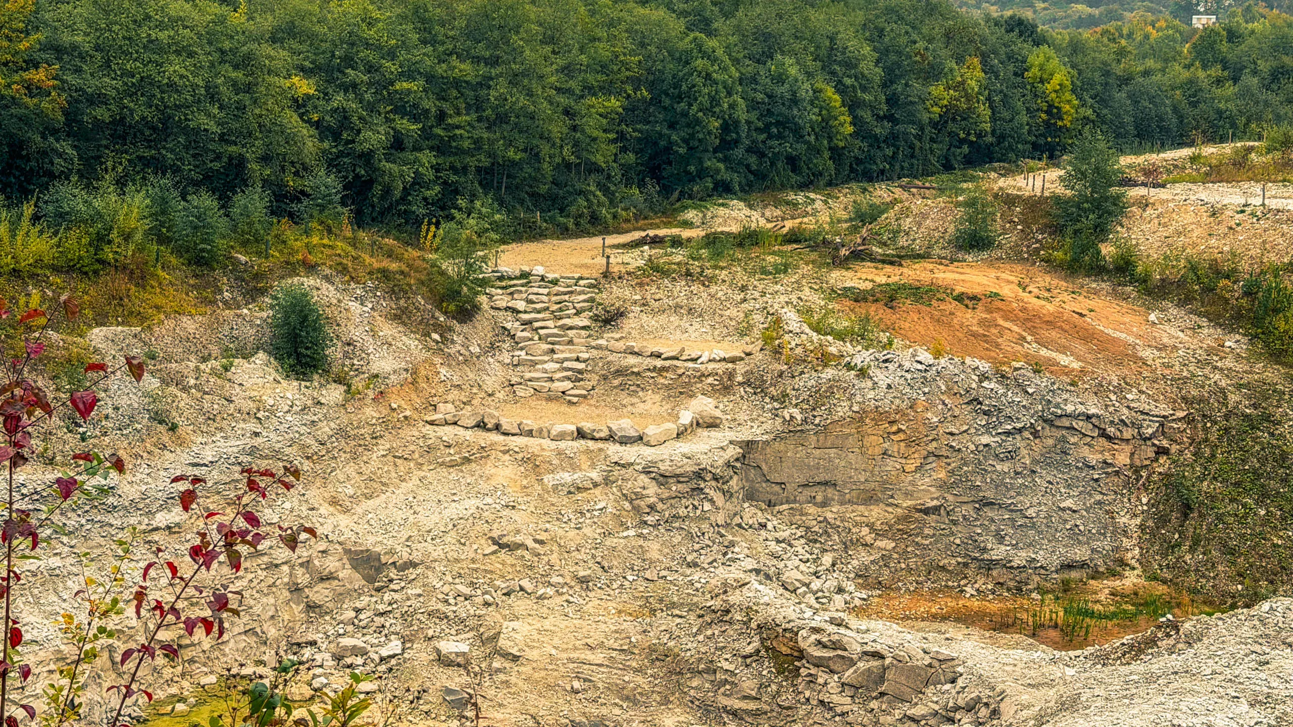 20251004.Harz.Bad.Sachsa.und.Umgebung.Bild25