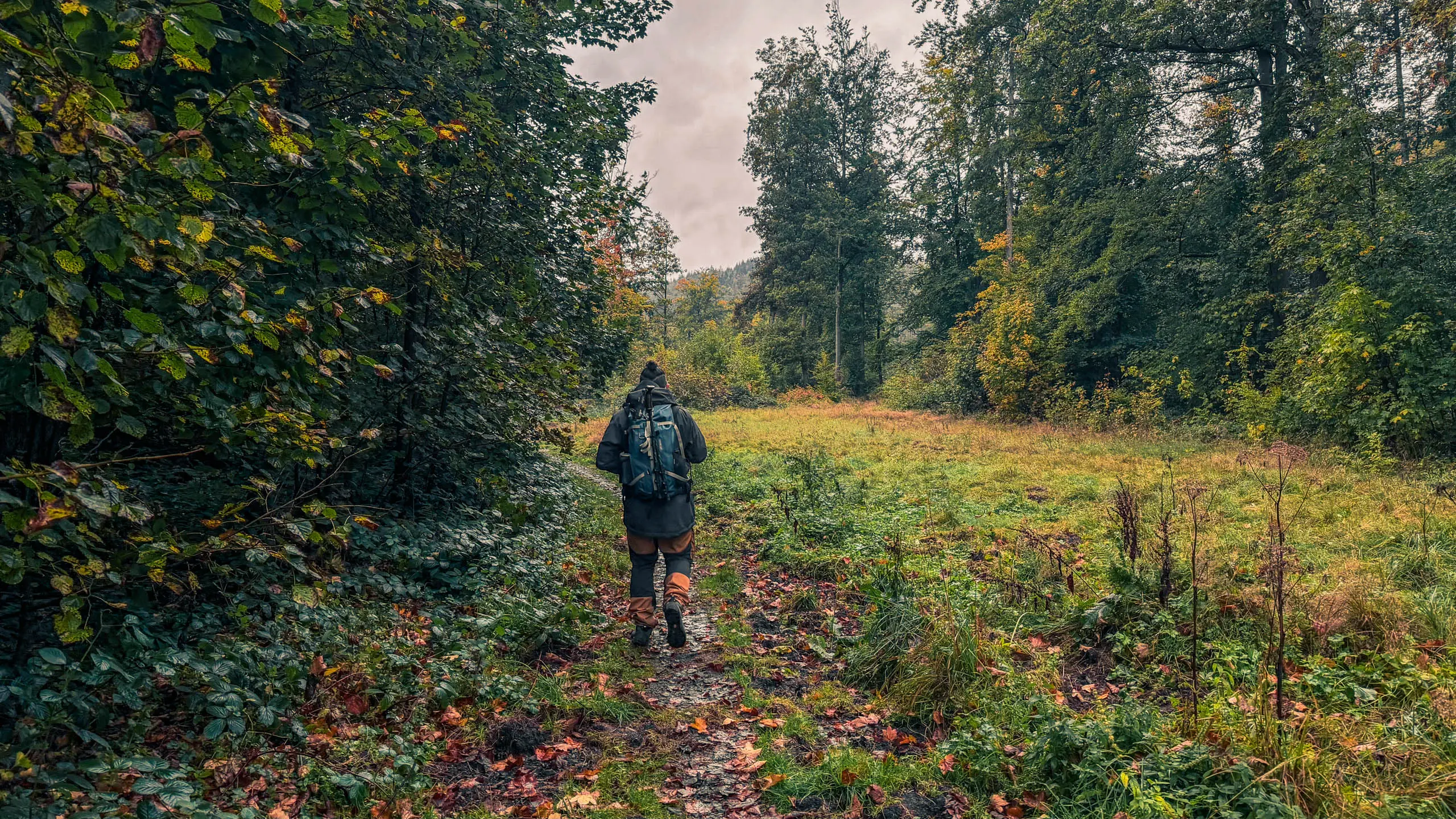 20251004.Harz.Bad.Sachsa.und.Umgebung.Bild30