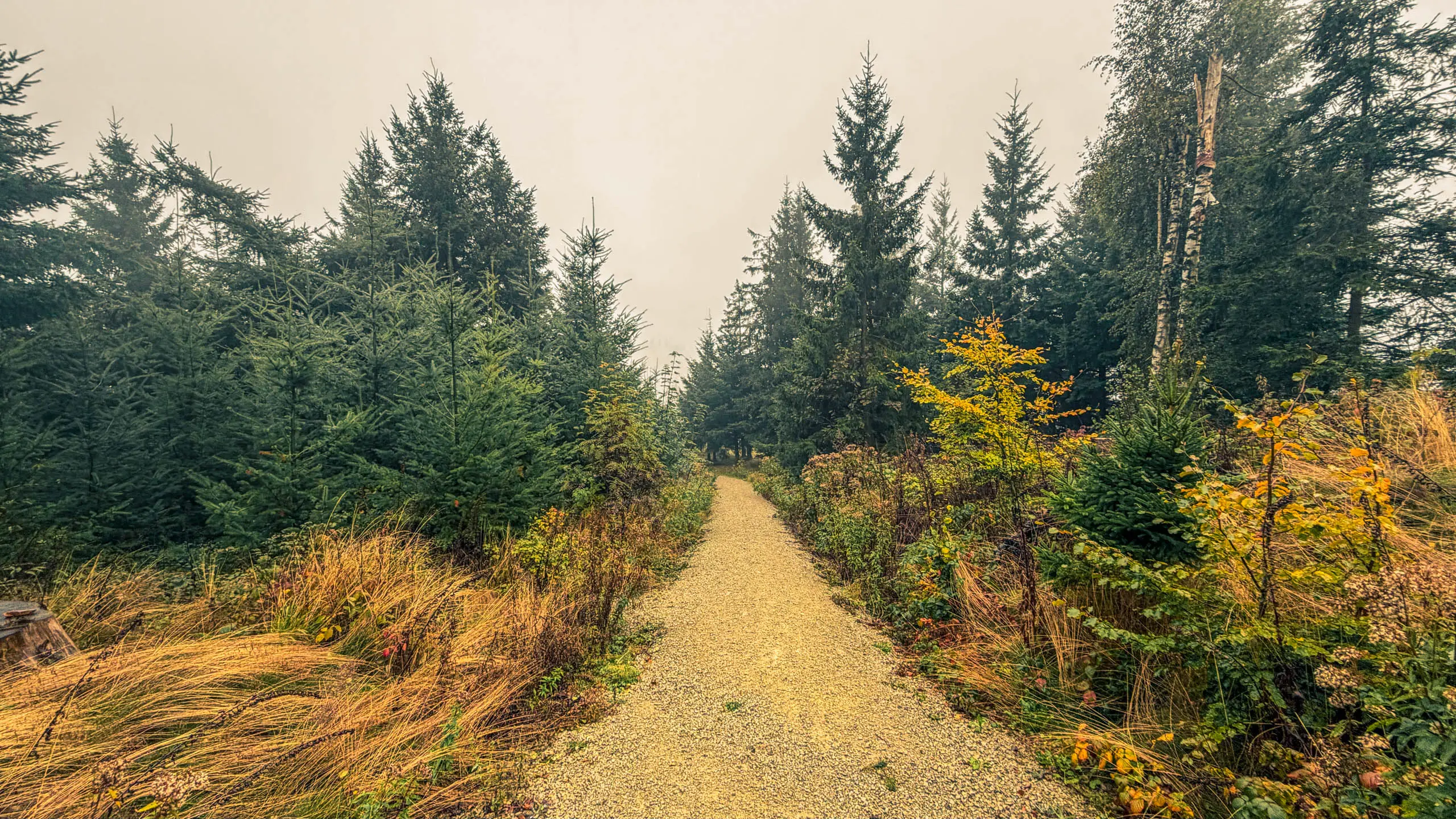 20251004.Harz.Bad.Sachsa.und.Umgebung.Bild39