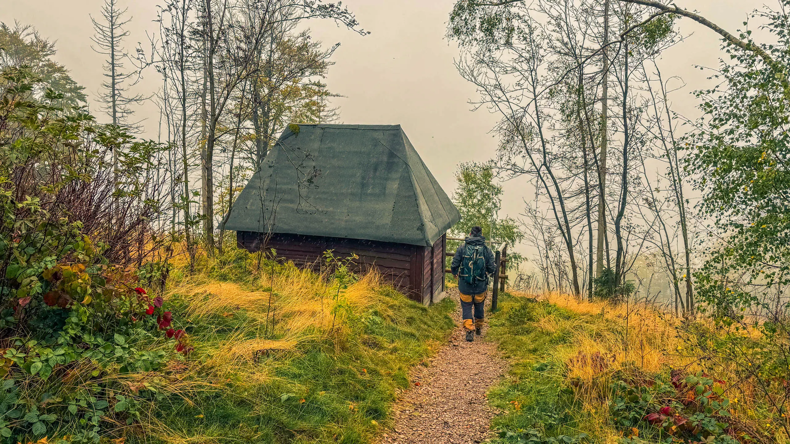 20251004.Harz.Bad.Sachsa.und.Umgebung.Bild41