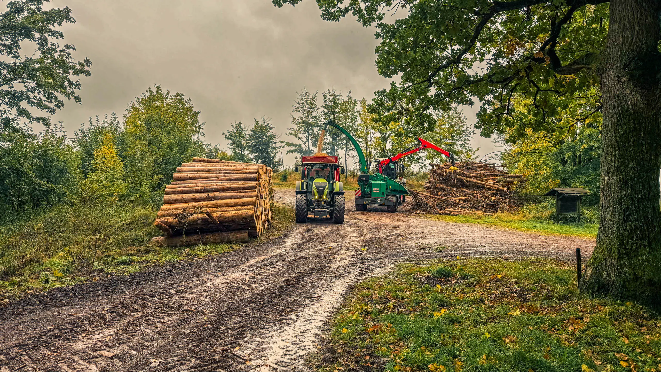 20251004.Harz.Bad.Sachsa.und.Umgebung.Bild46