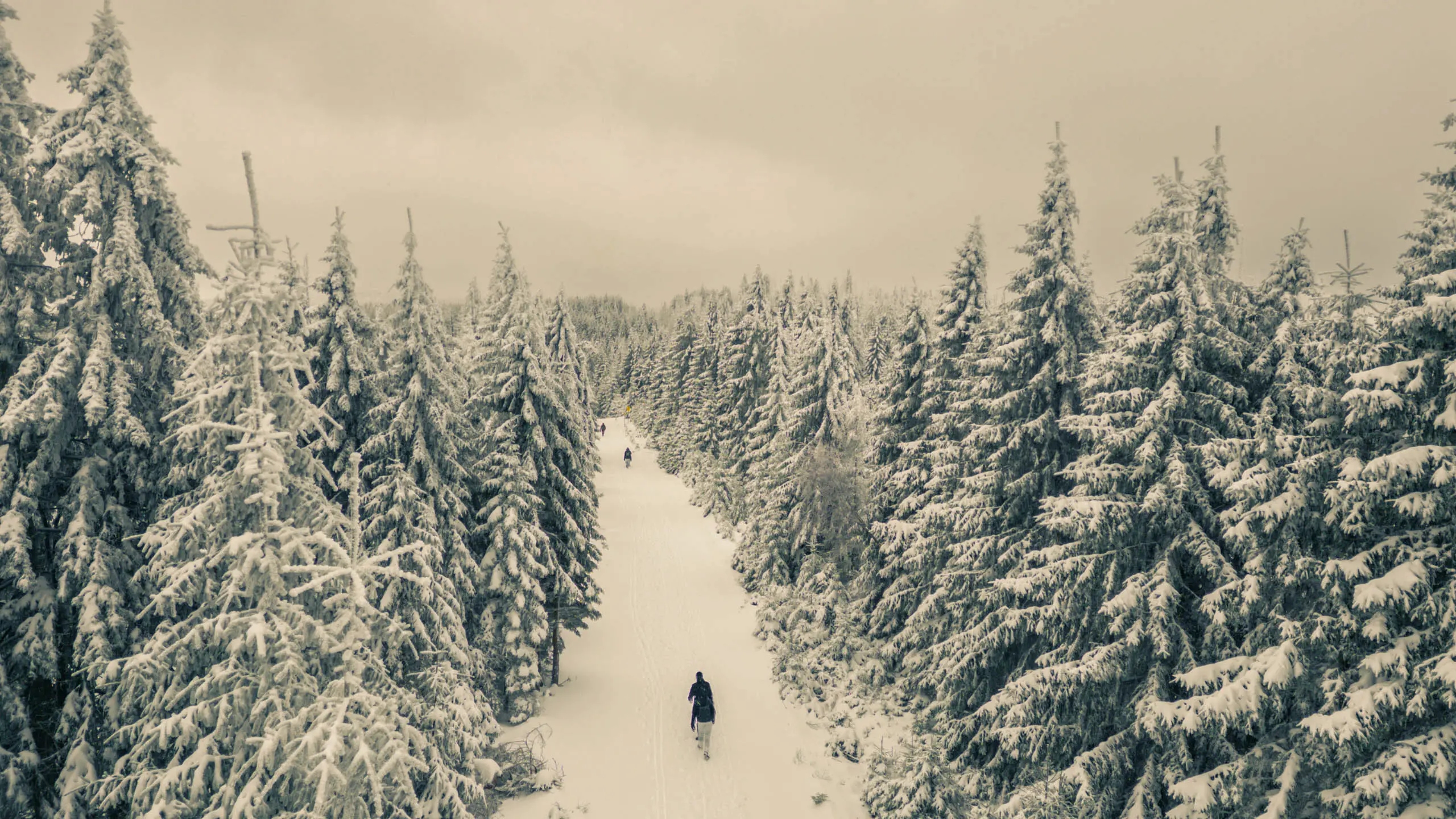 20260103.Harz.Von.Oderbrück.auf.den.Brocken.Bild.02