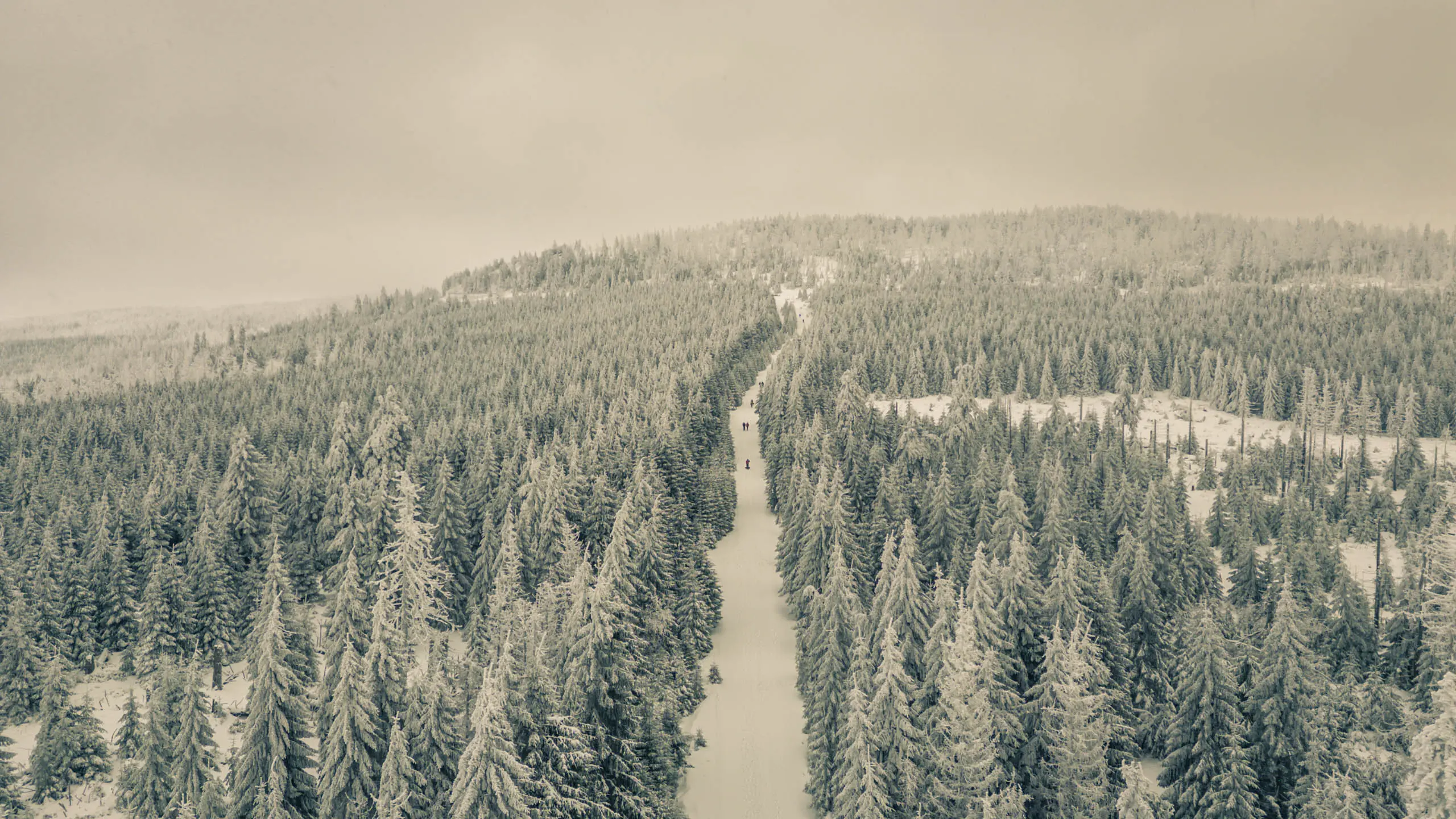 20260103.Harz.Von.Oderbrück.auf.den.Brocken.Bild.03