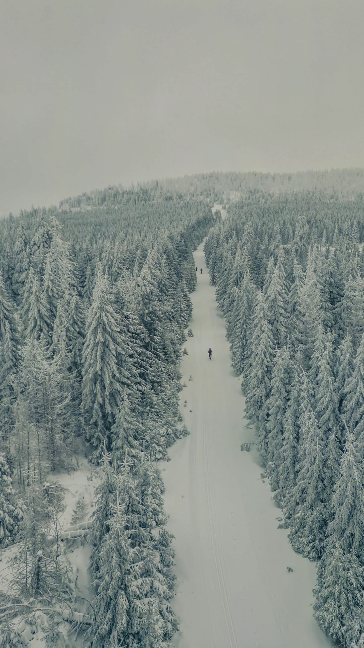 20260103.Harz.Von.Oderbrück.auf.den.Brocken.Bild.04