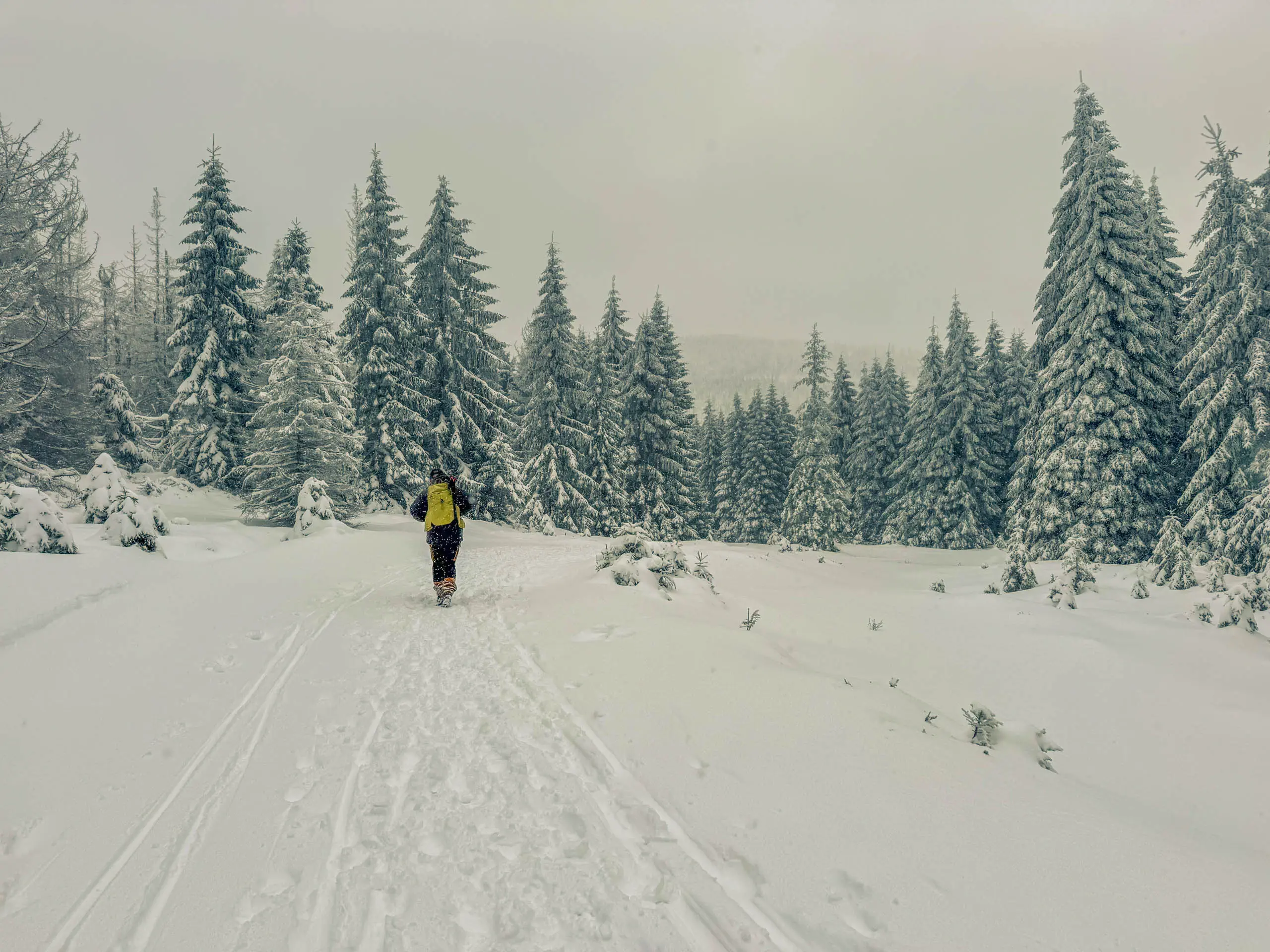 20260103.Harz.Von.Oderbrück.auf.den.Brocken.Bild.07