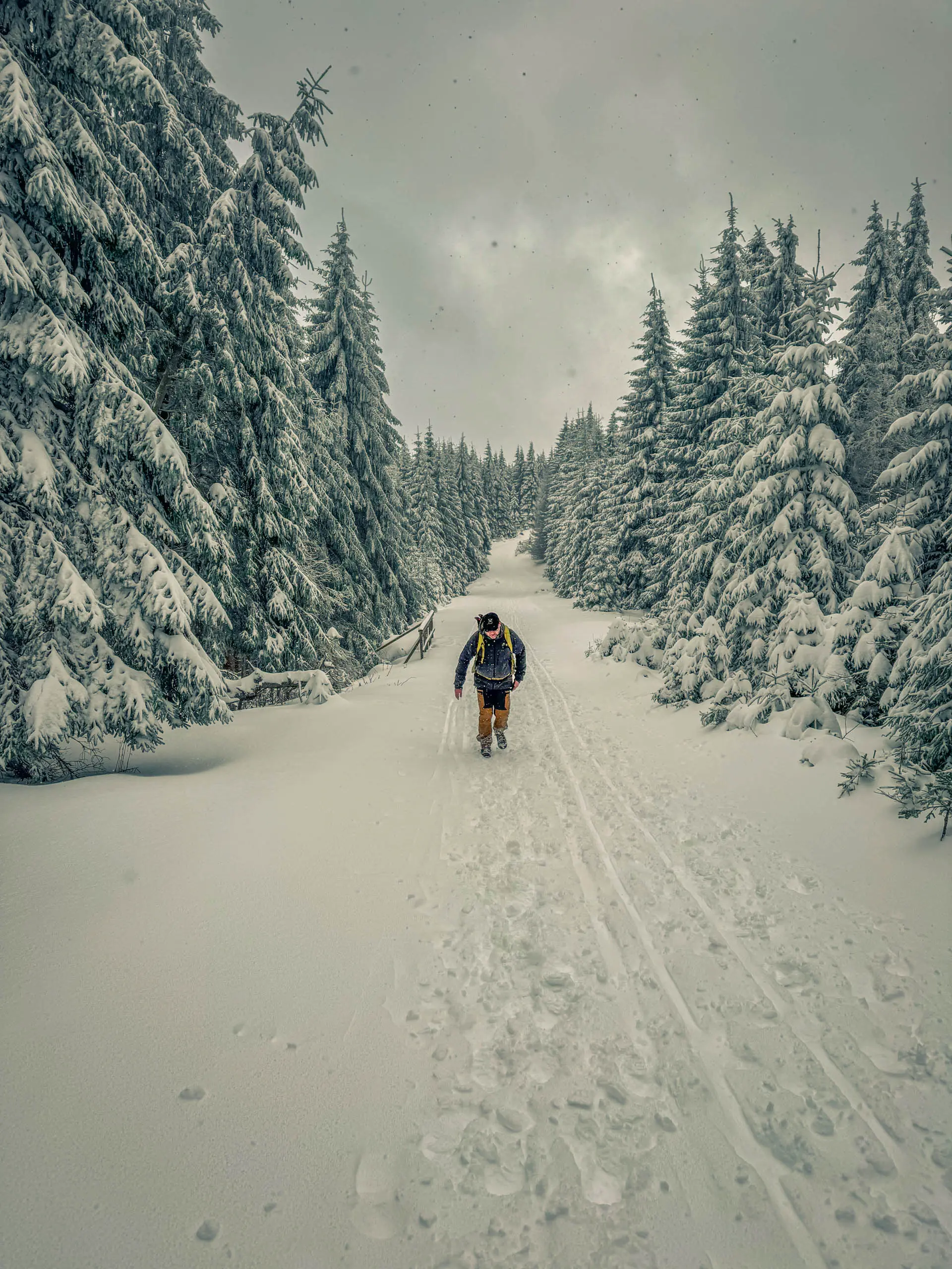 20260103.Harz.Von.Oderbrück.auf.den.Brocken.Bild.10