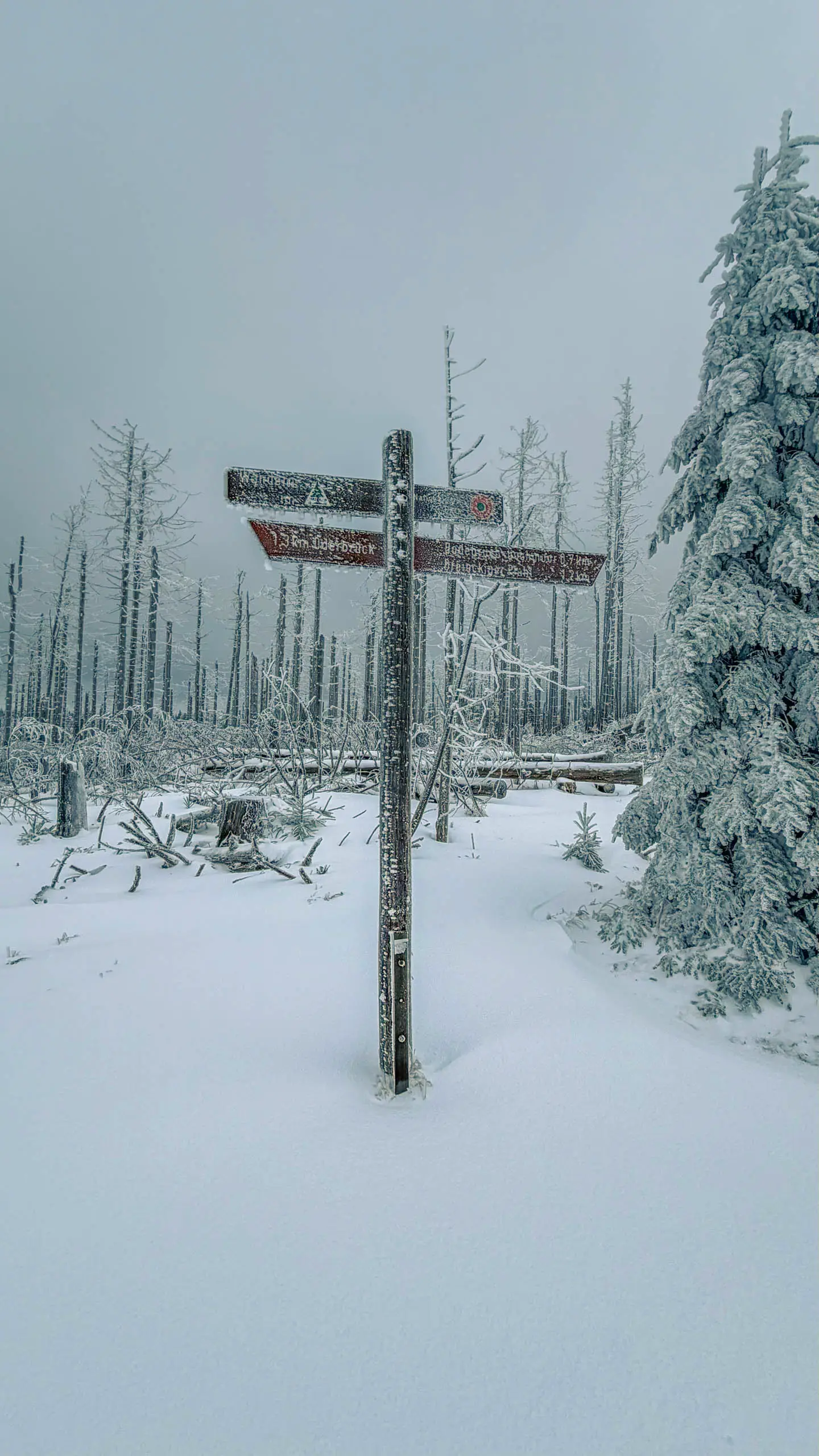 20260103.Harz.Von.Oderbrück.auf.den.Brocken.Bild.20