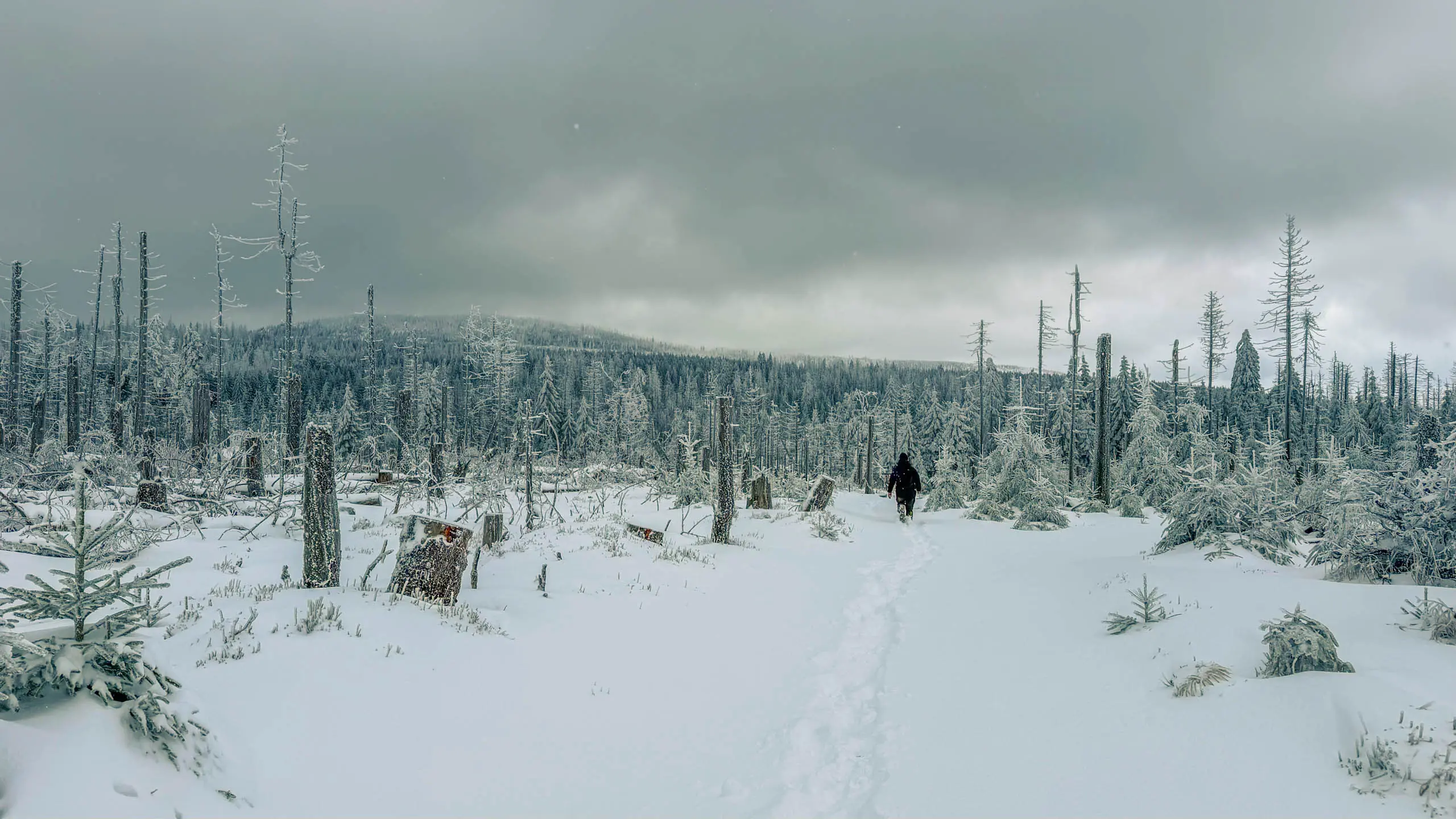 20260103.Harz.Von.Oderbrück.auf.den.Brocken.Bild.21