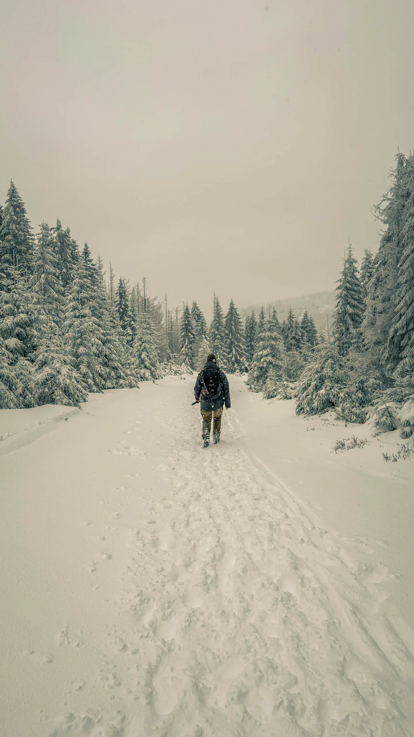 20260103.Harz.Von.Oderbrück.auf.den.Brocken.Bild.31