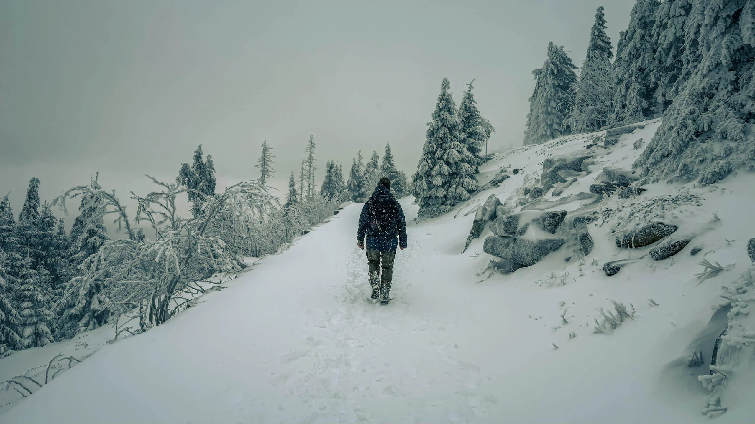 20260103.Harz.Von.Oderbrück.auf.den.Brocken.Bild.33