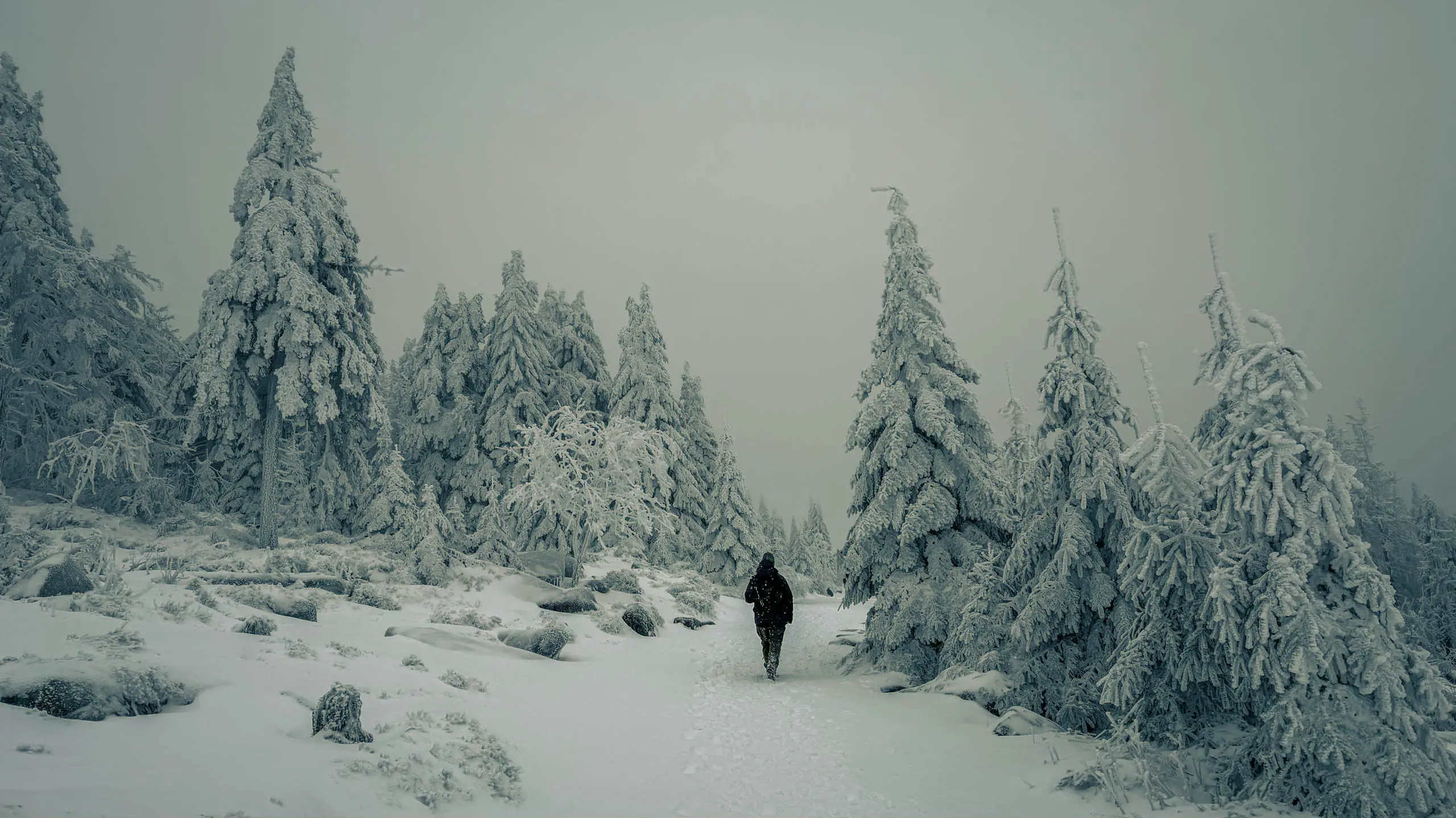 20260103.Harz.Von.Oderbrück.auf.den.Brocken.Bild.35