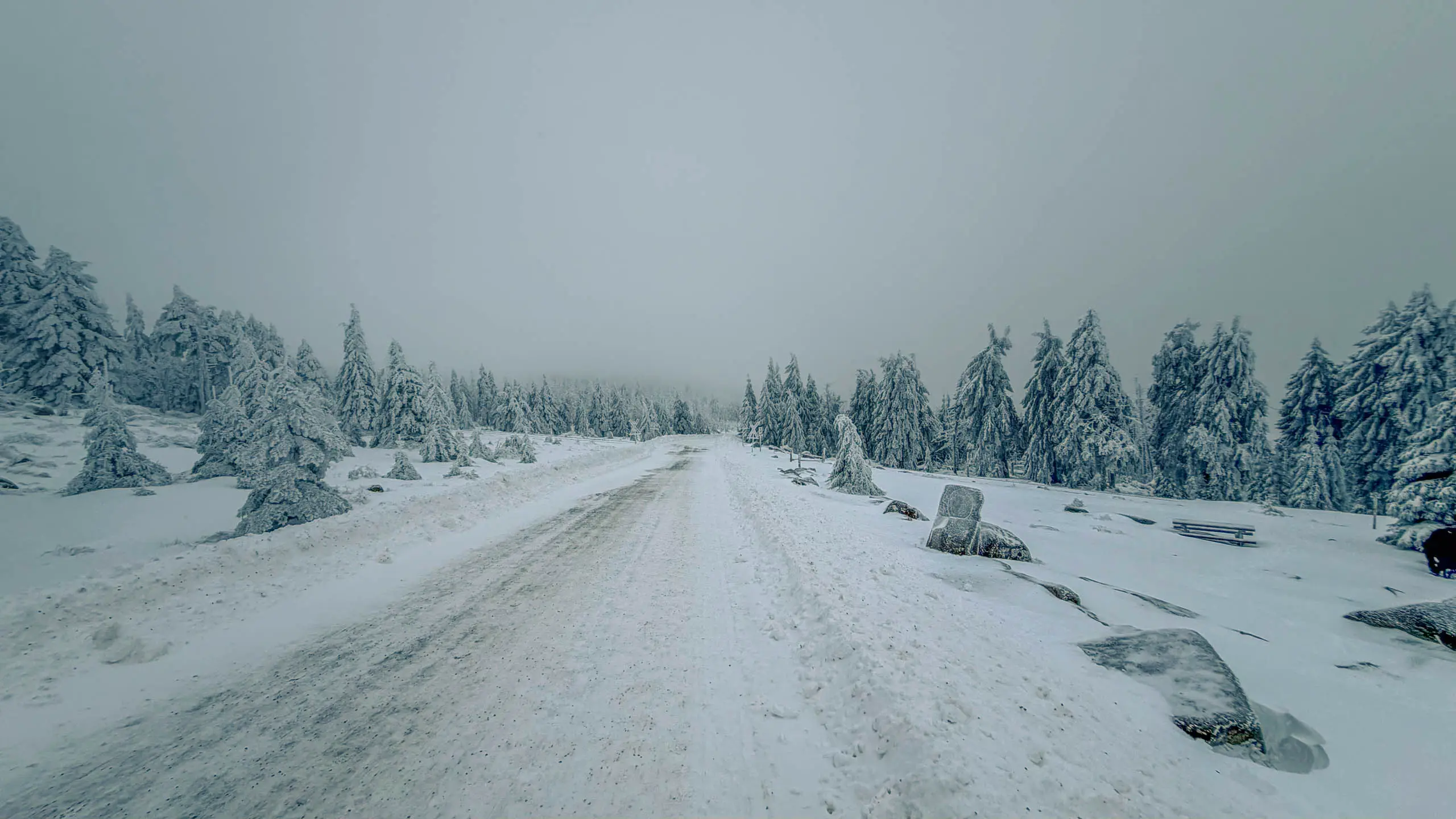 20260103.Harz.Von.Oderbrück.auf.den.Brocken.Bild.37